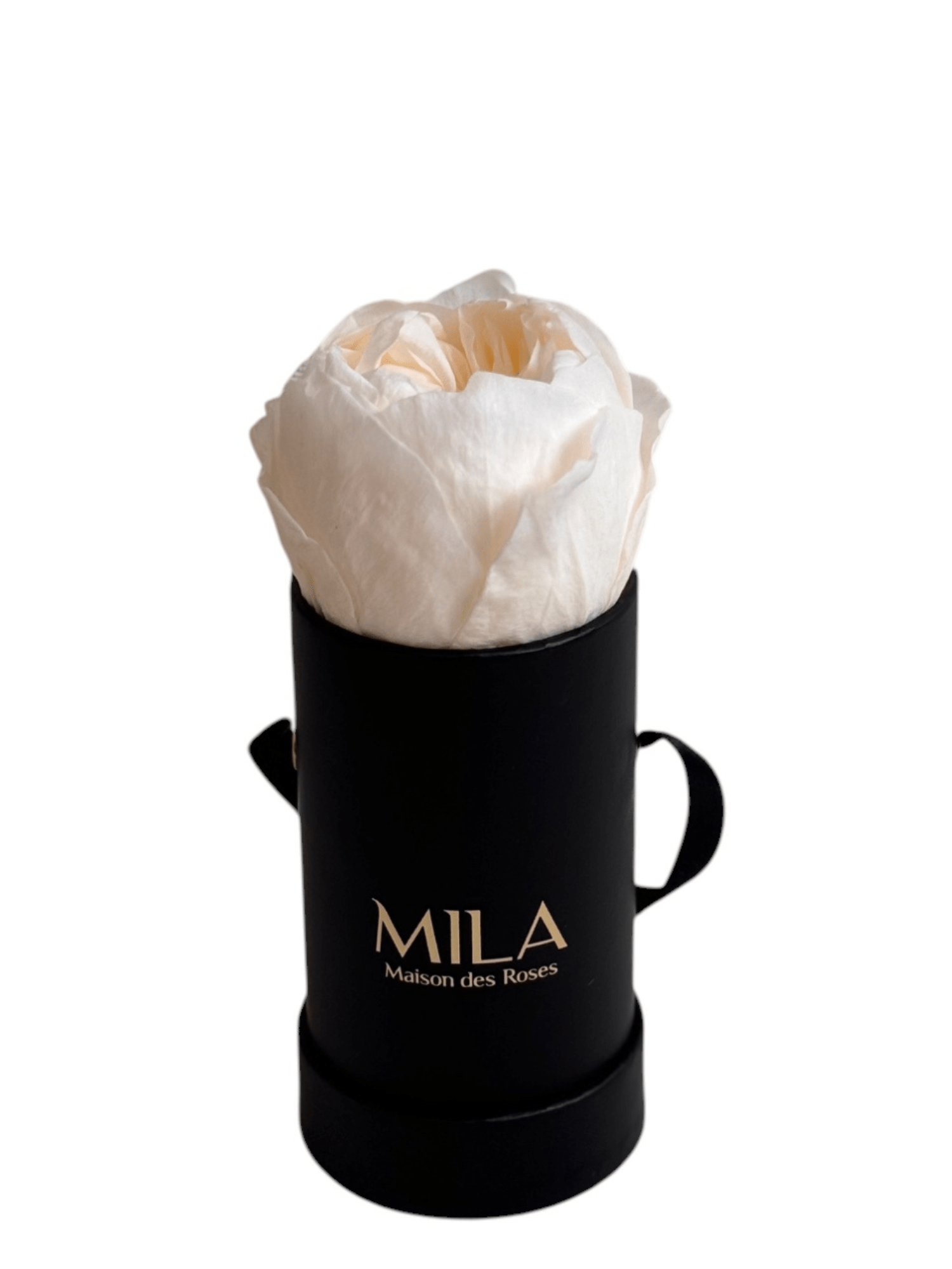 Mila Classique Baby - My Store