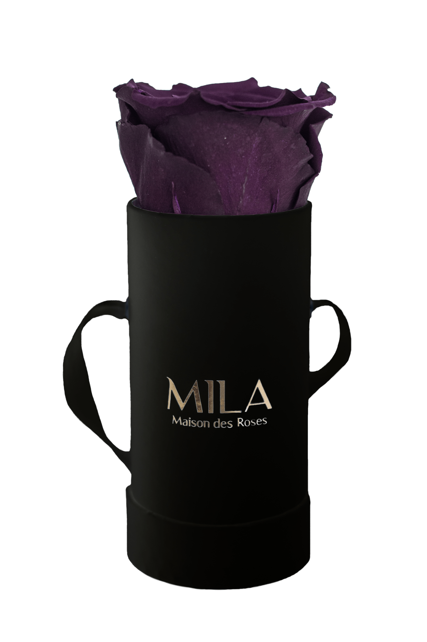 Mila Classique Baby - Mila Rose