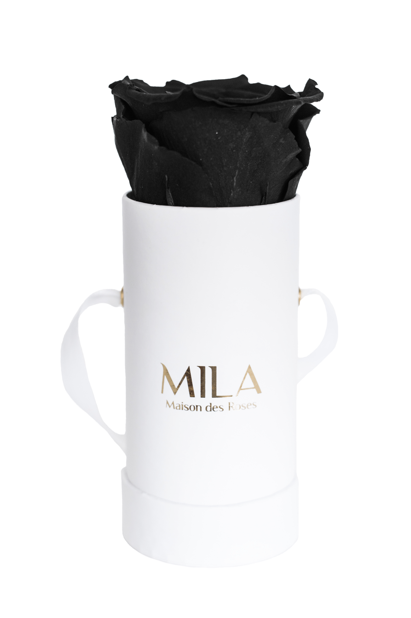 Mila Classique Baby - Mila Rose