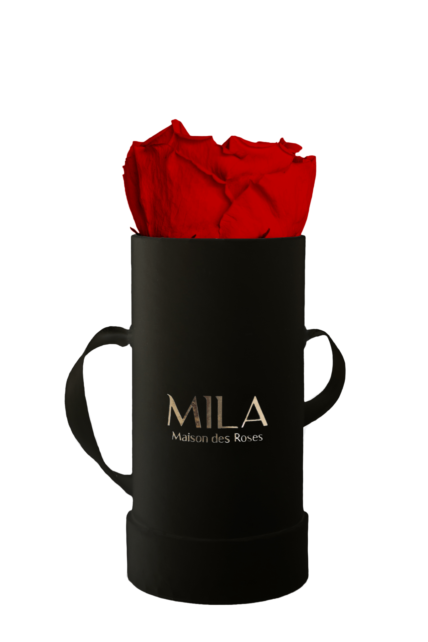 Mila Classique Baby - Mila Rose