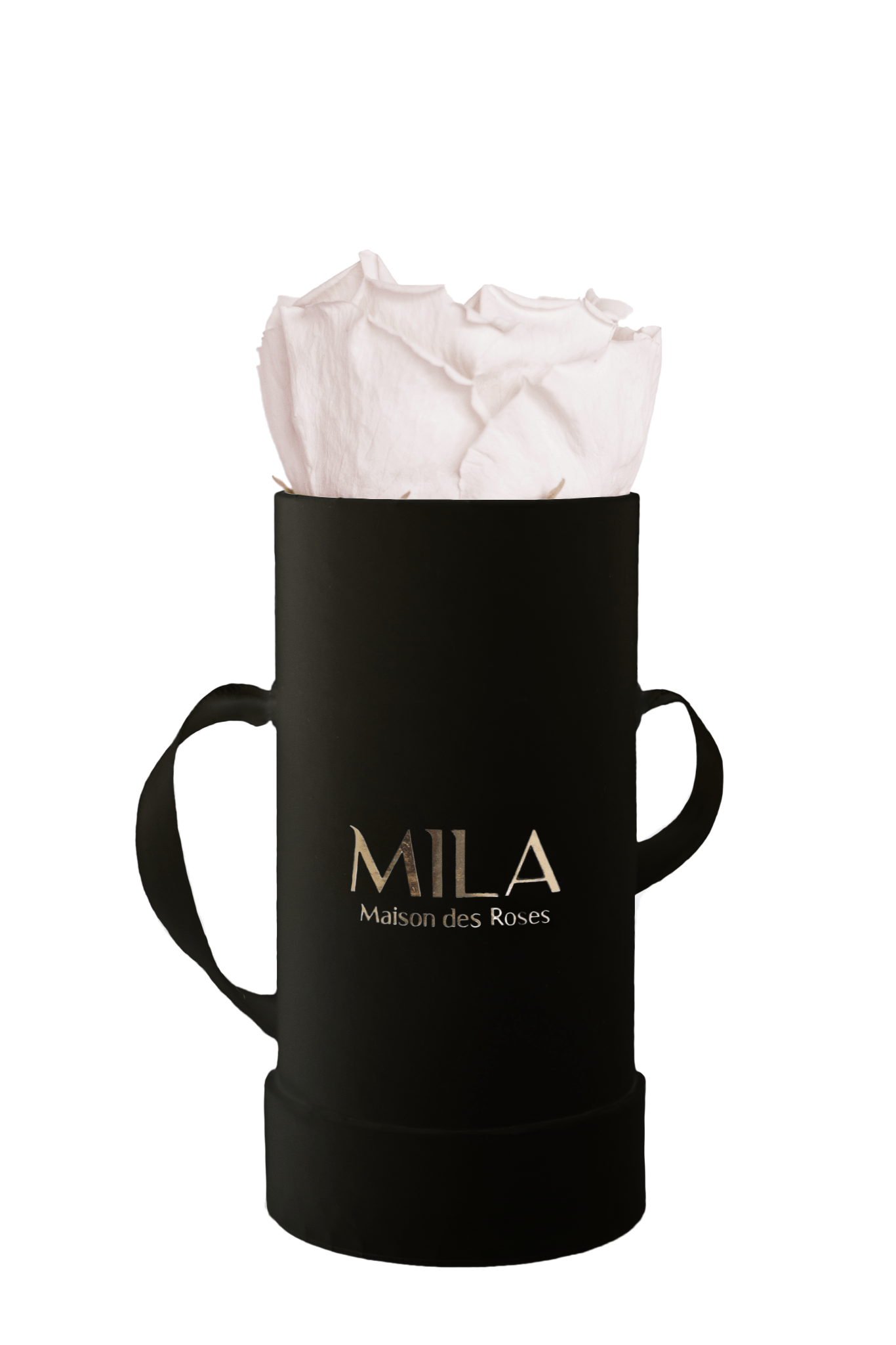 Mila Classique Baby - Mila Rose