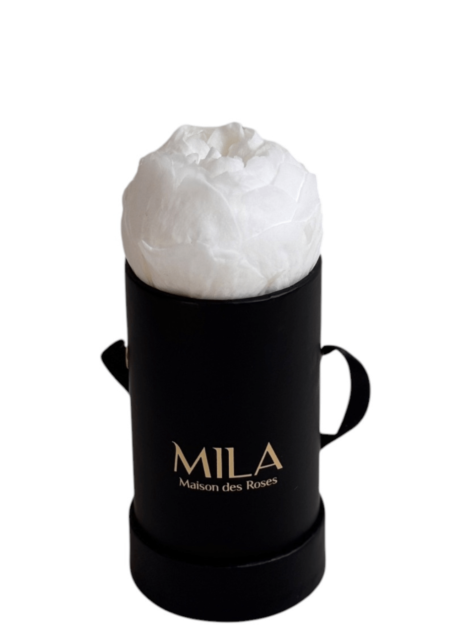 Mila Classique Baby - My Store