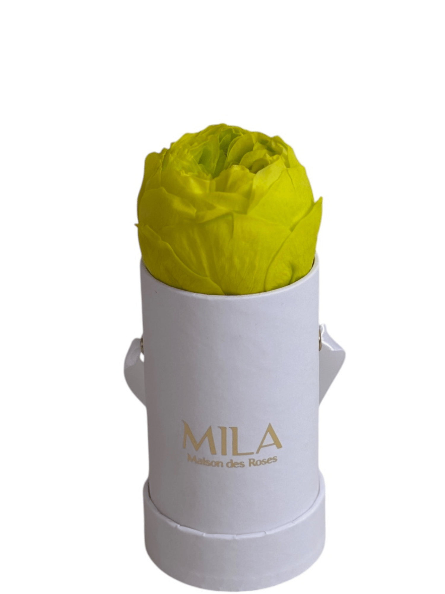Mila Classique Baby - My Store