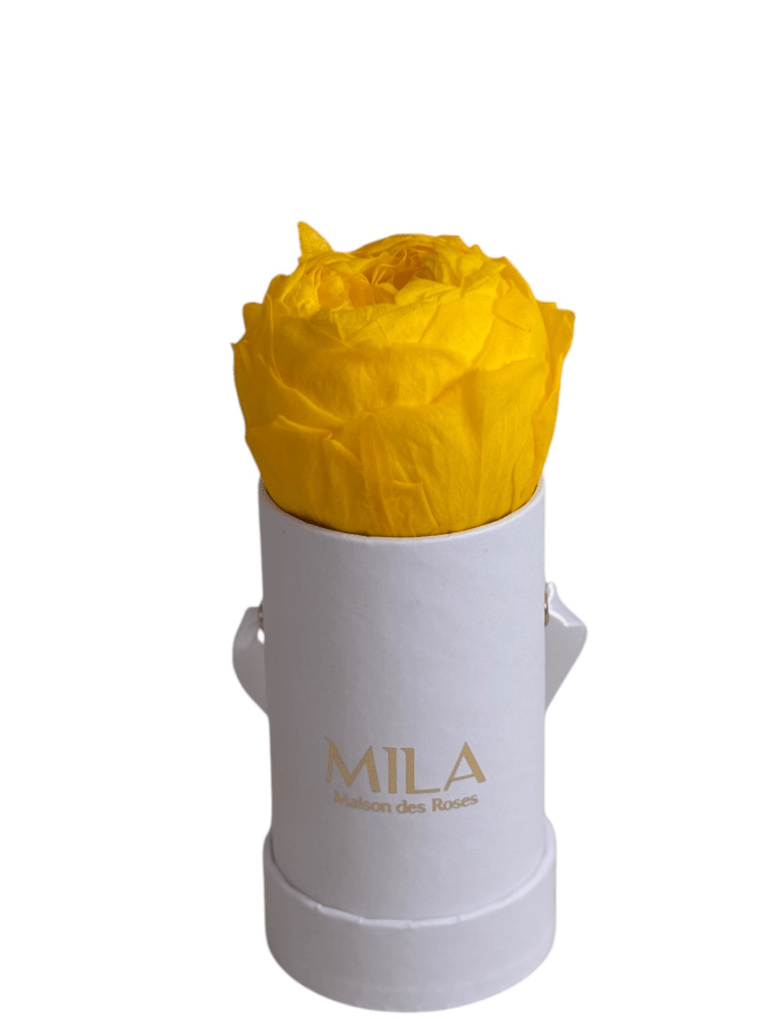 Mila Classique Baby - My Store