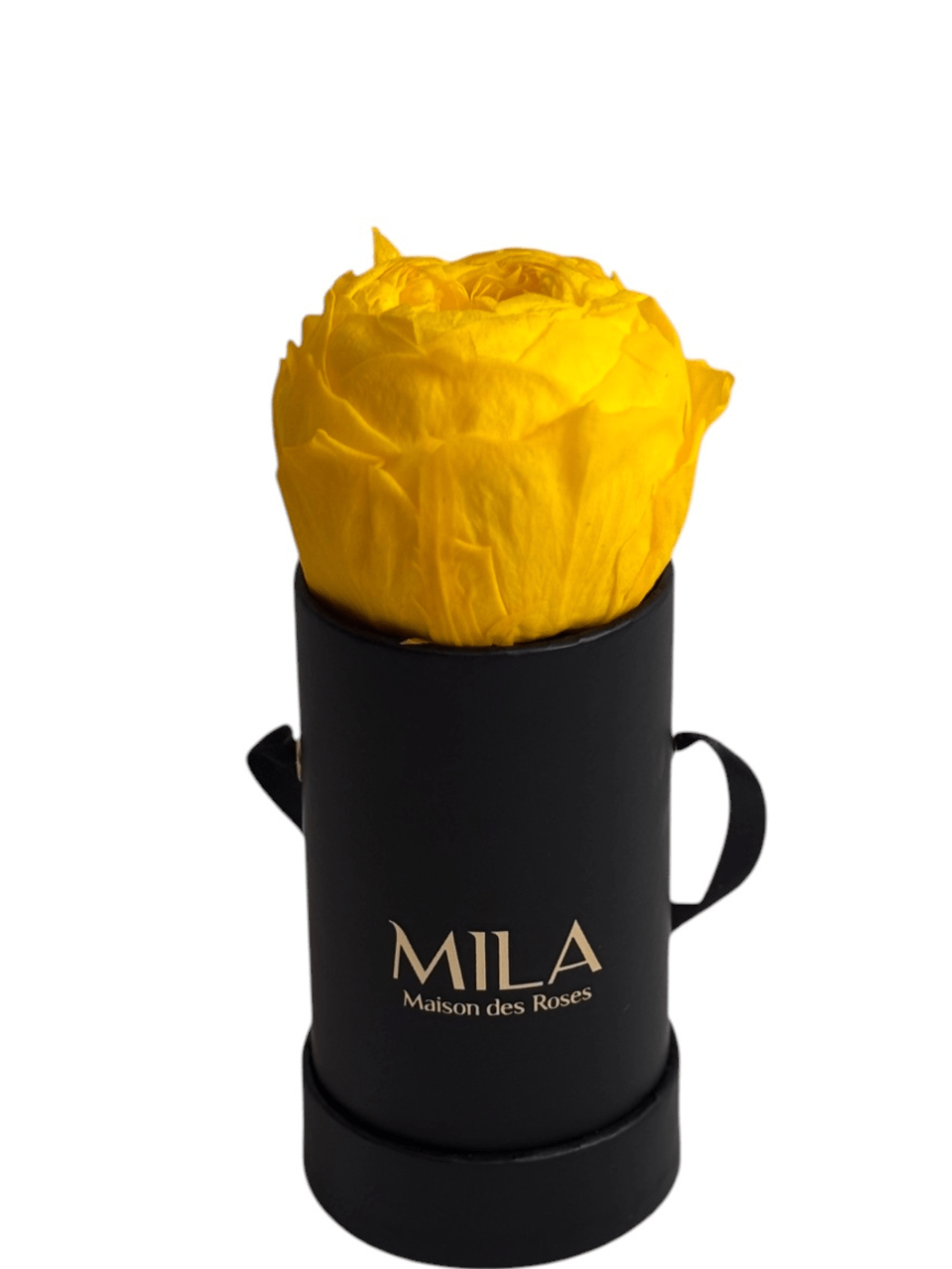 Mila Classique Baby - My Store