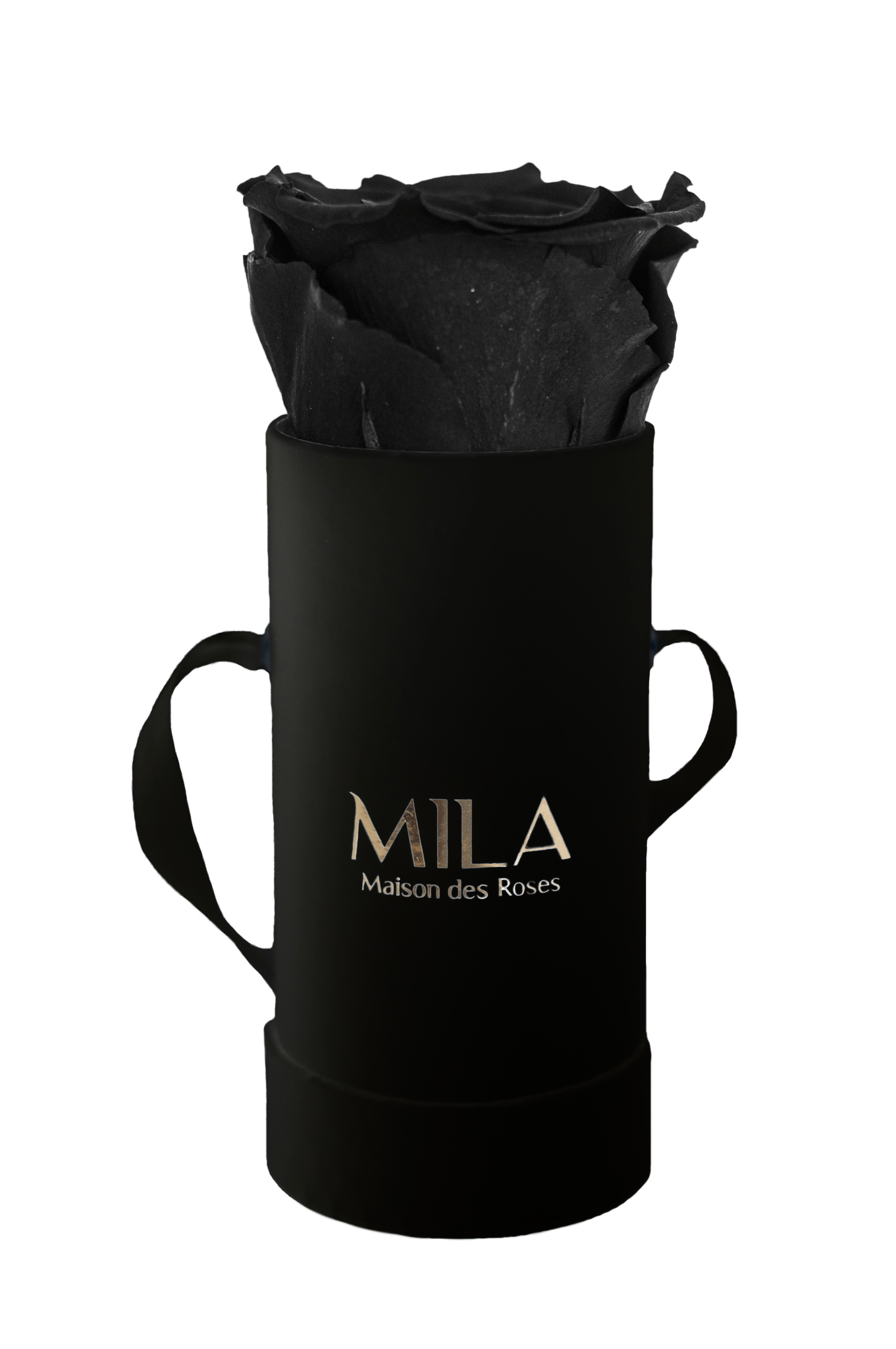 Mila Classique Baby - Mila Rose