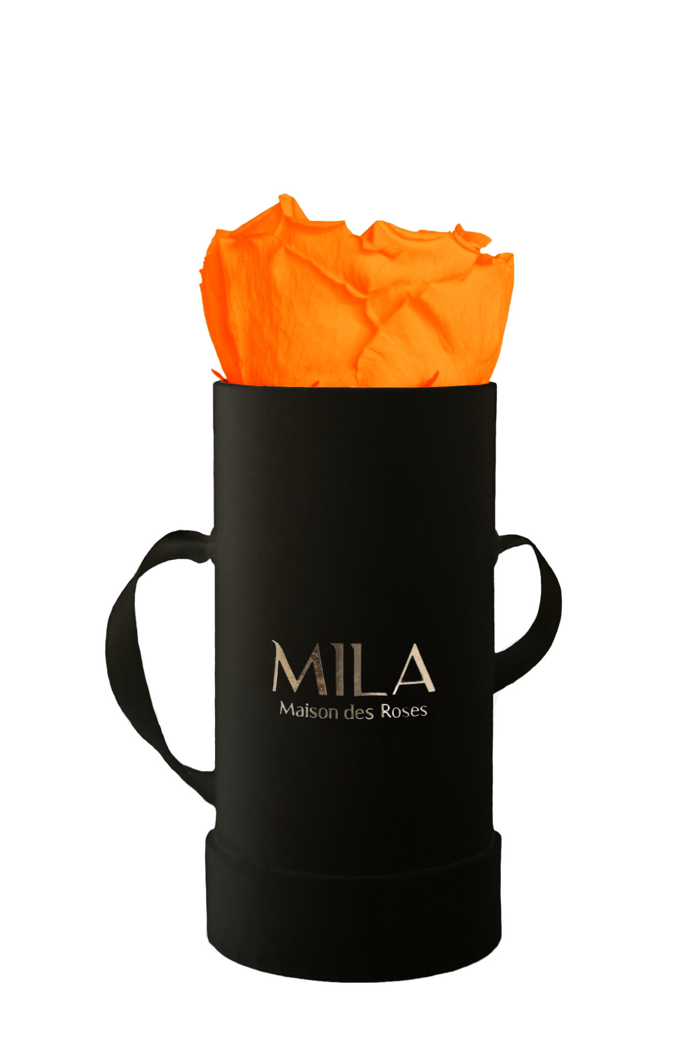 Mila Classique Baby - Mila Rose