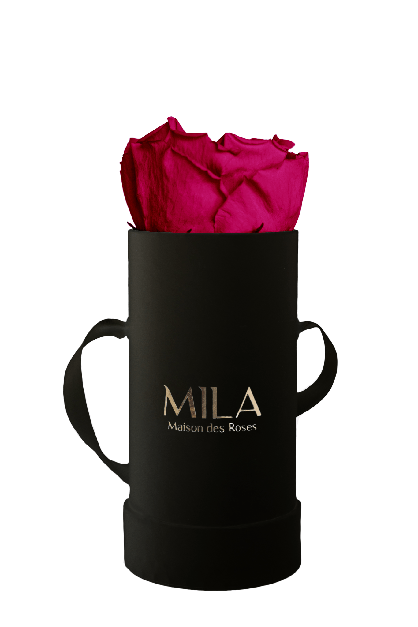 Mila Classique Baby - Mila Rose