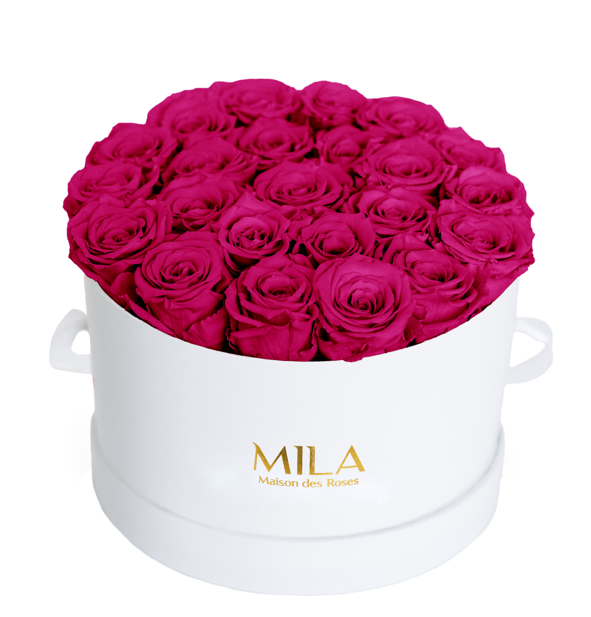 Mila Classique Large - Mila Rose