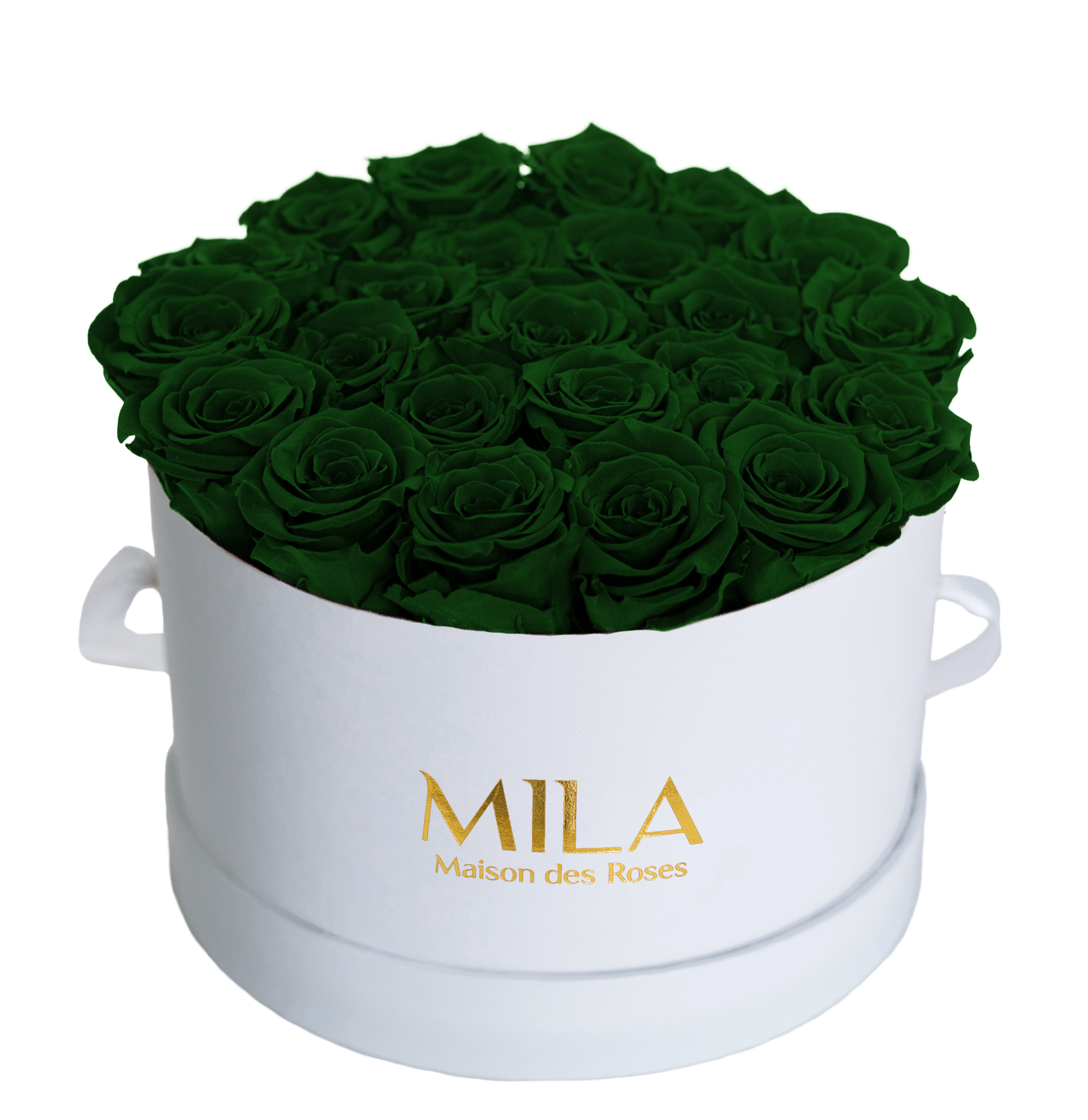 Mila Classique Large - Mila Rose