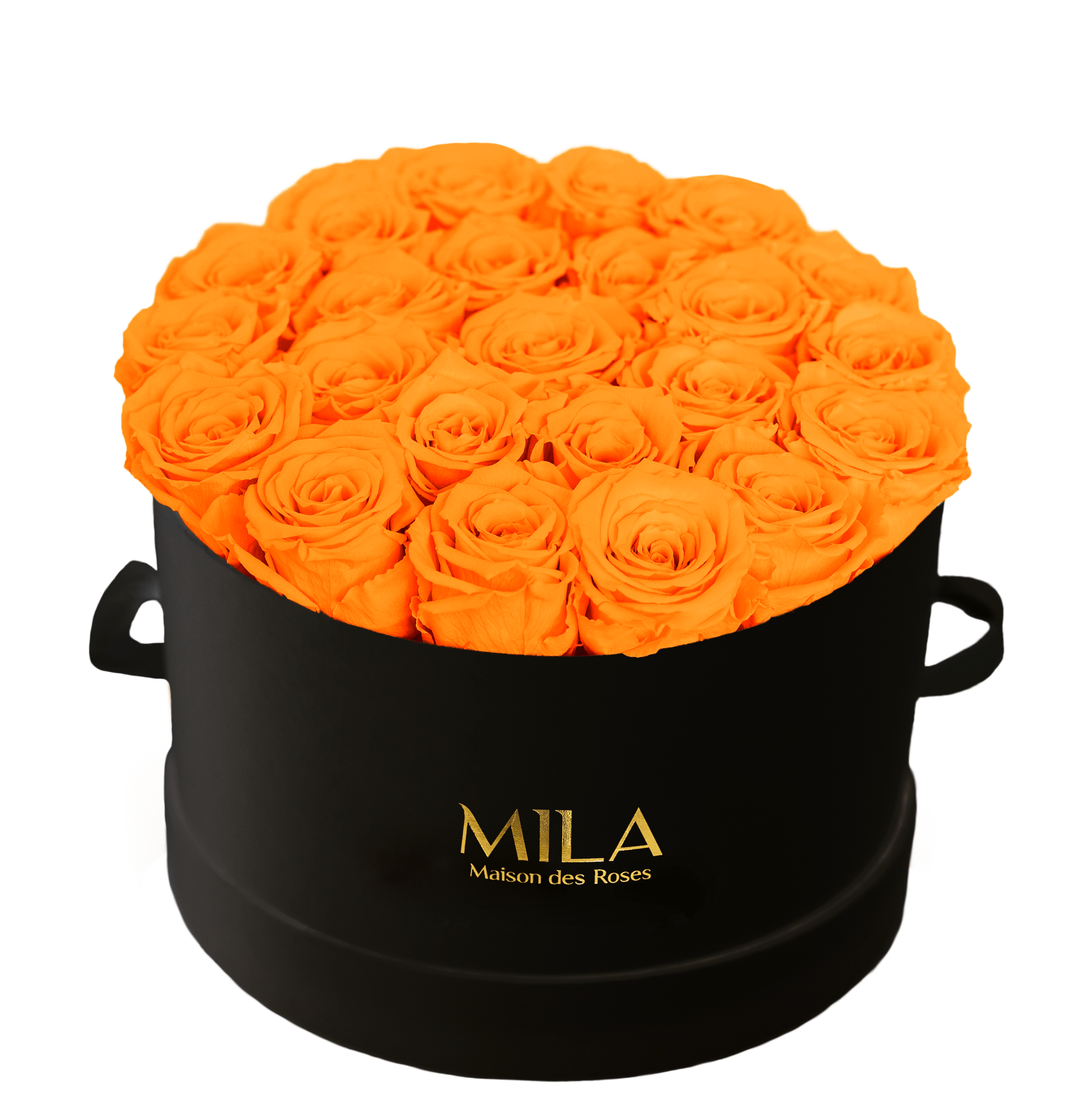 Mila Classique Large - Mila Rose