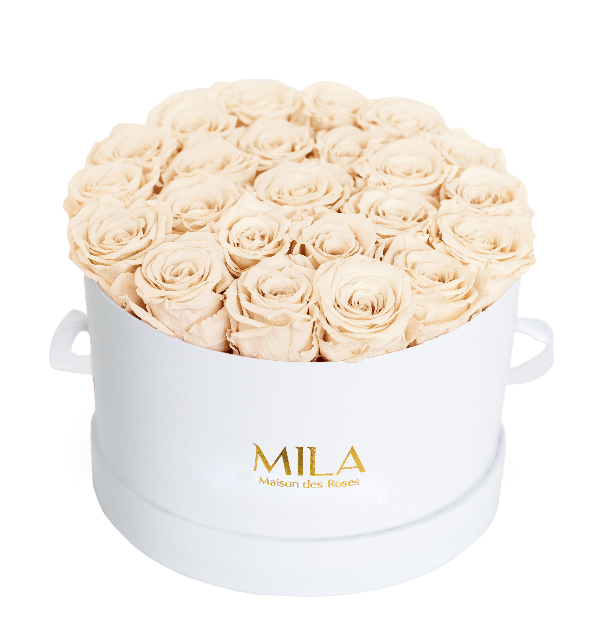 Mila Classique Large - Mila Rose