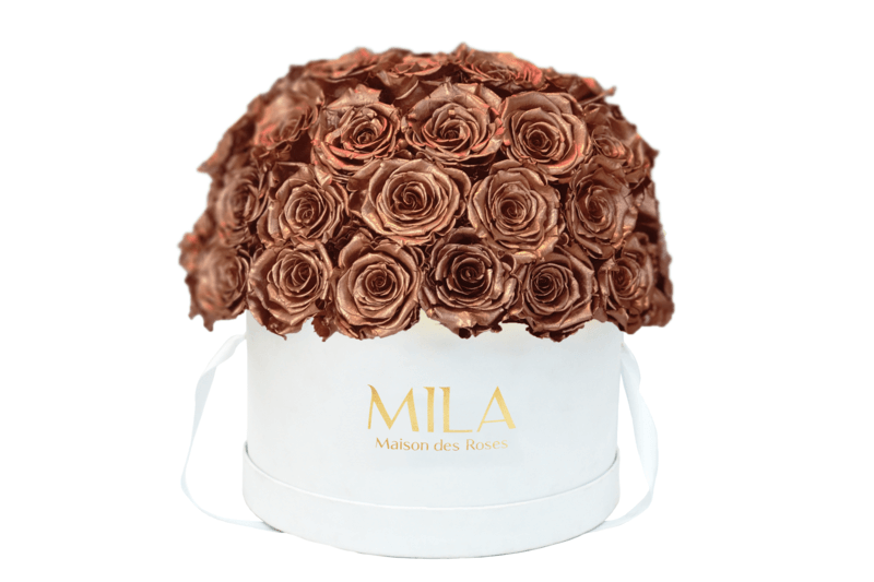 Mila Classique large dome - Mila Rose