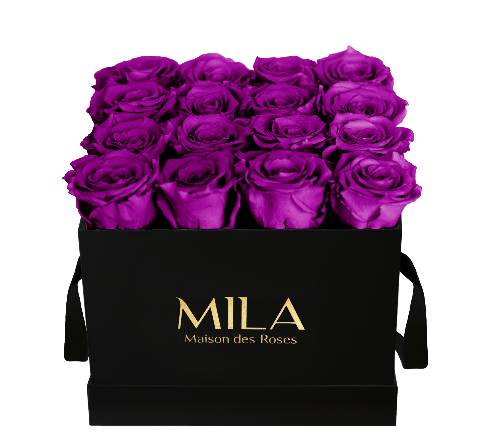 Mila Classique Medium - Mila Rose