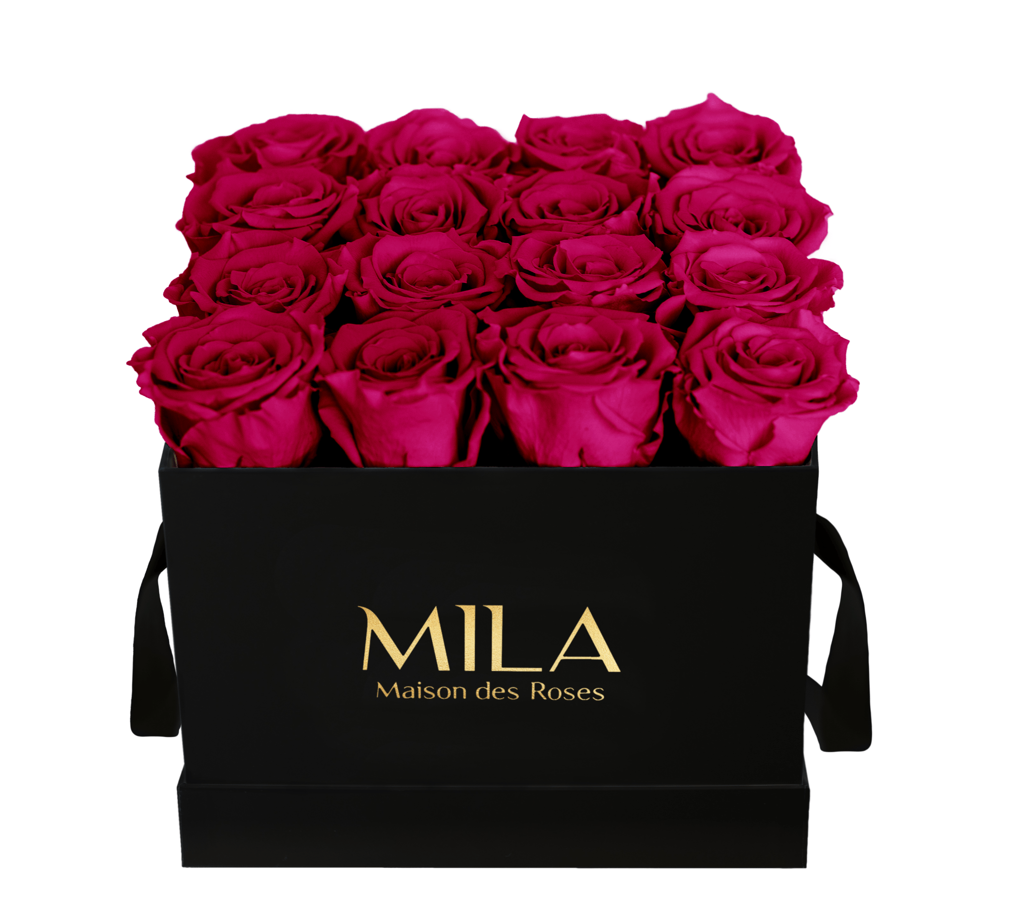 Mila Classique Medium - Mila Rose