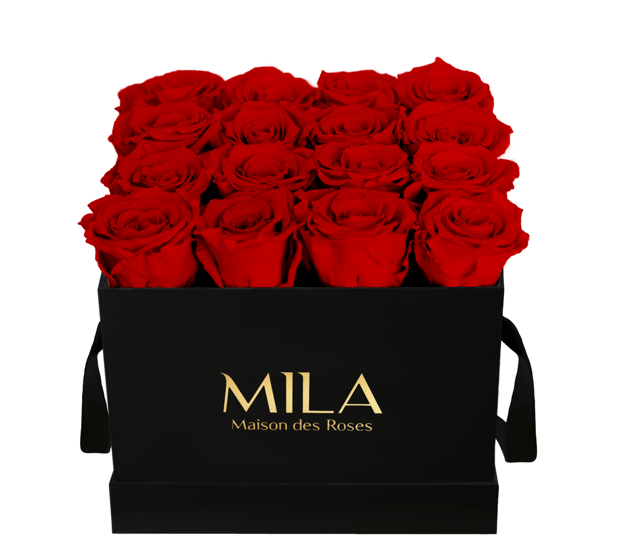 Mila Classique Medium - Mila Rose
