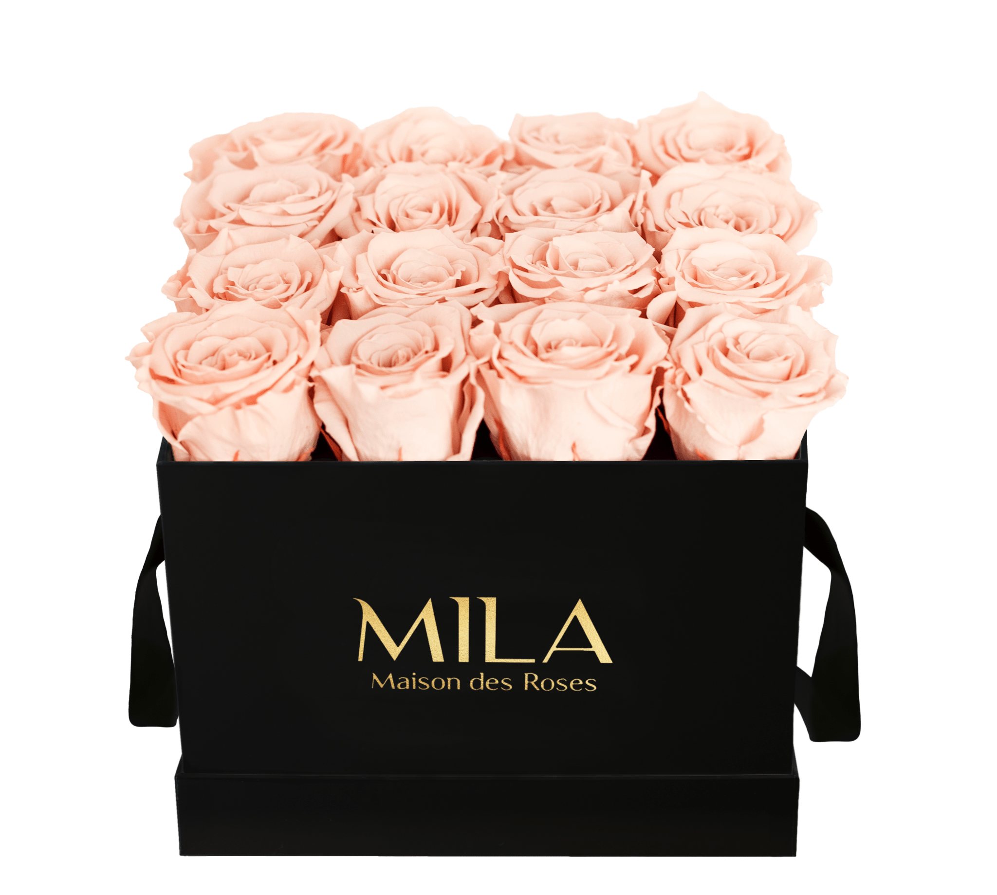 Mila Classique Medium - Mila Rose