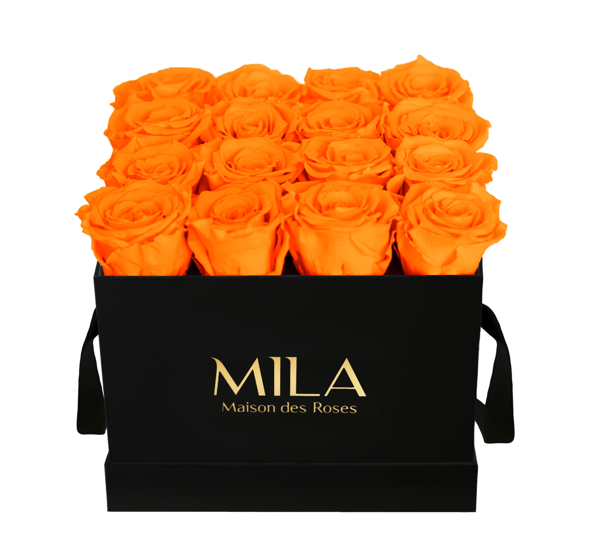 Mila Classique Medium - Mila Rose