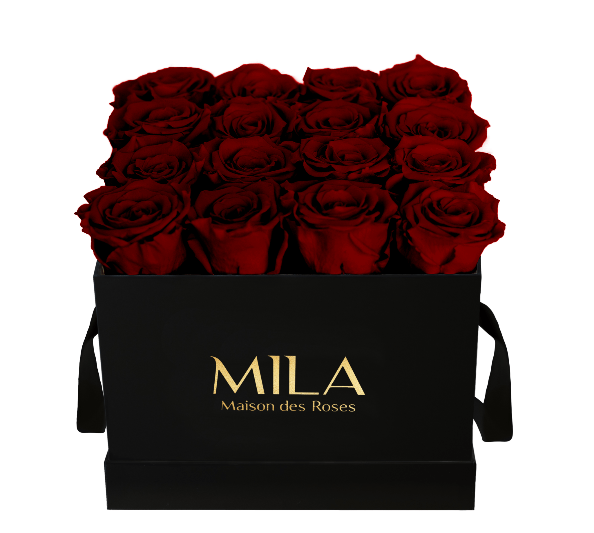 Mila Classique Medium - Mila Rose