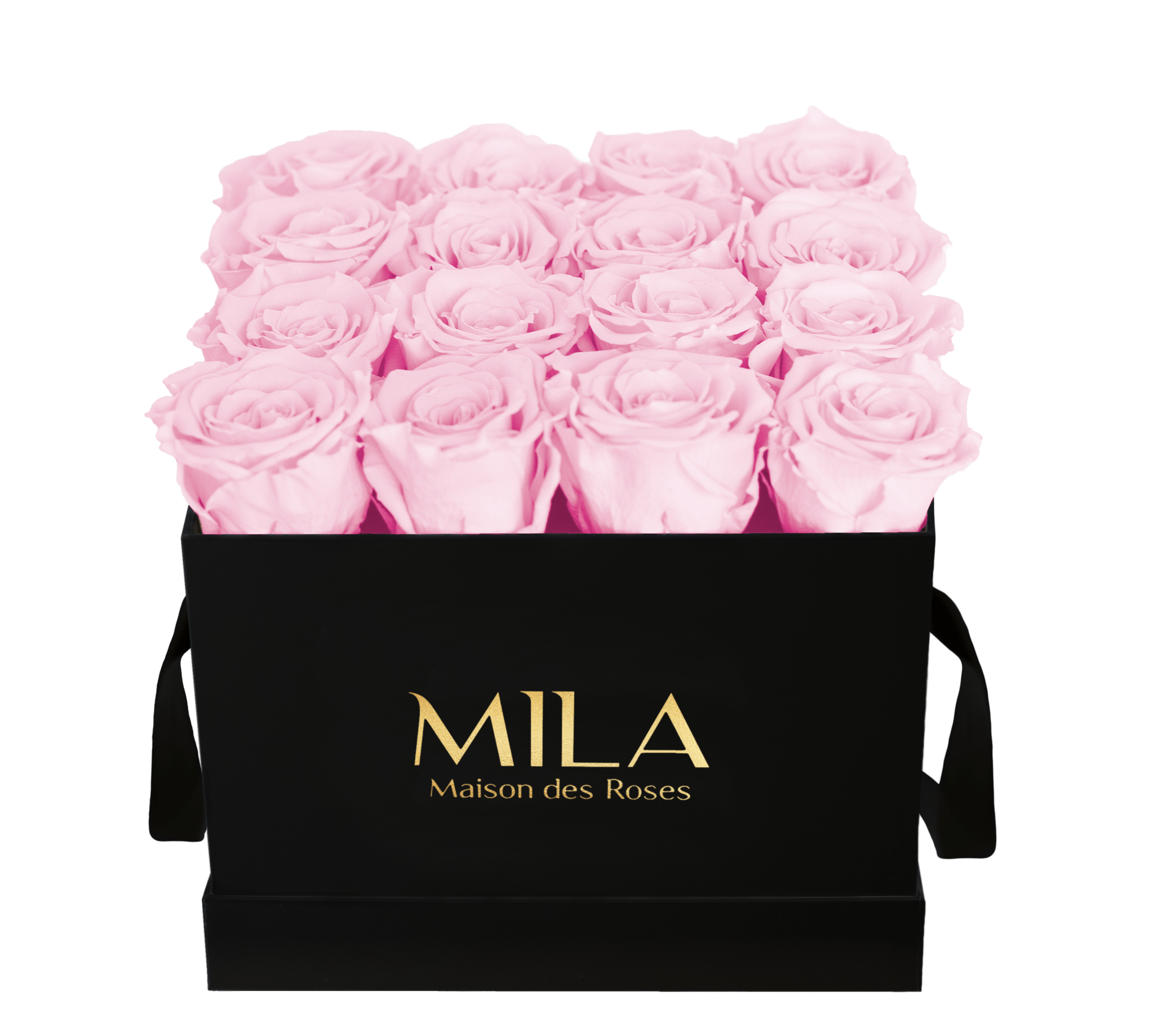 Mila Classique Medium - Mila Rose