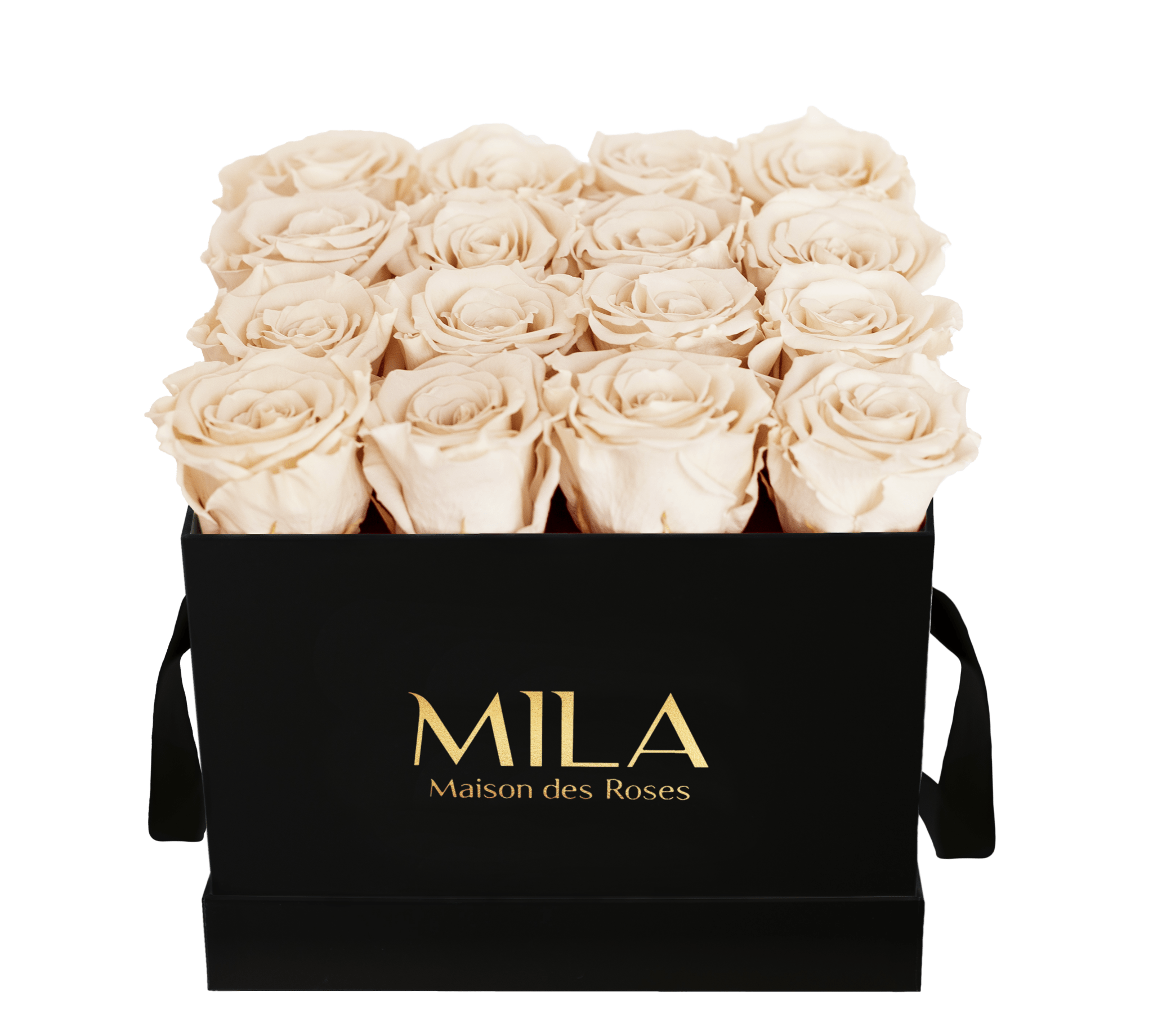 Mila Classique Medium - Mila Rose