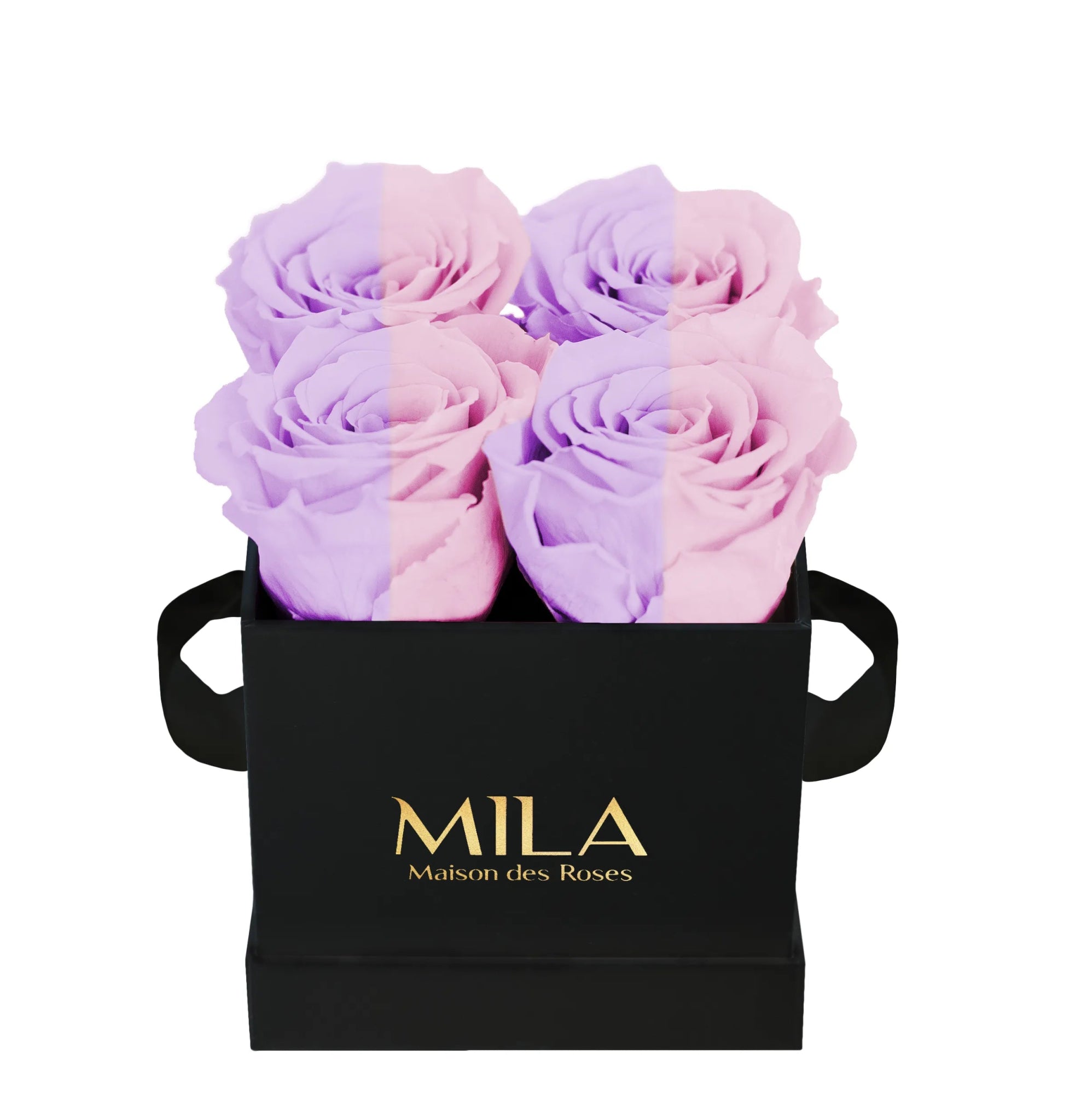 Mila Classique Mini - Mila Rose