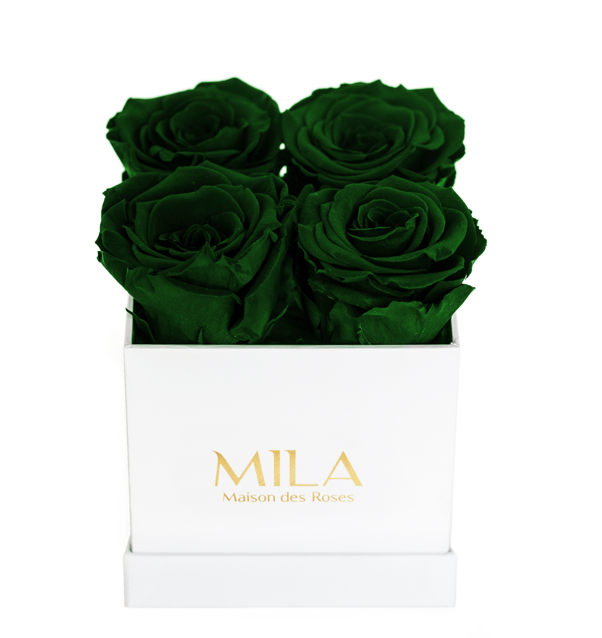 Mila Classique Mini - Mila Rose
