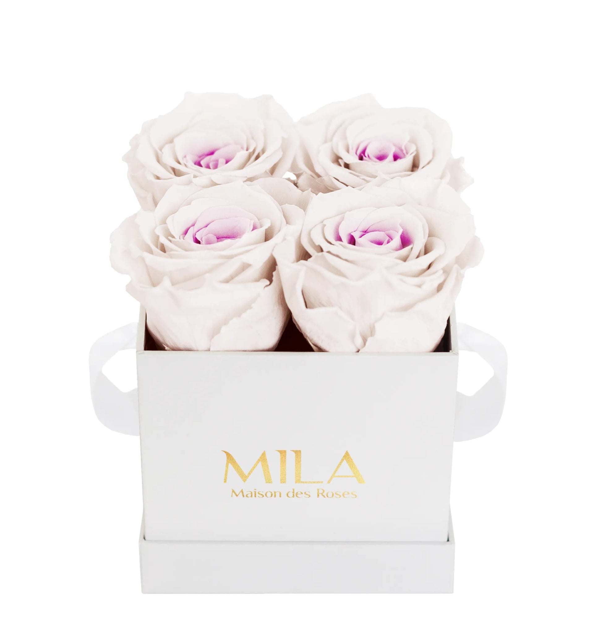 Mila Classique Mini - Mila Rose