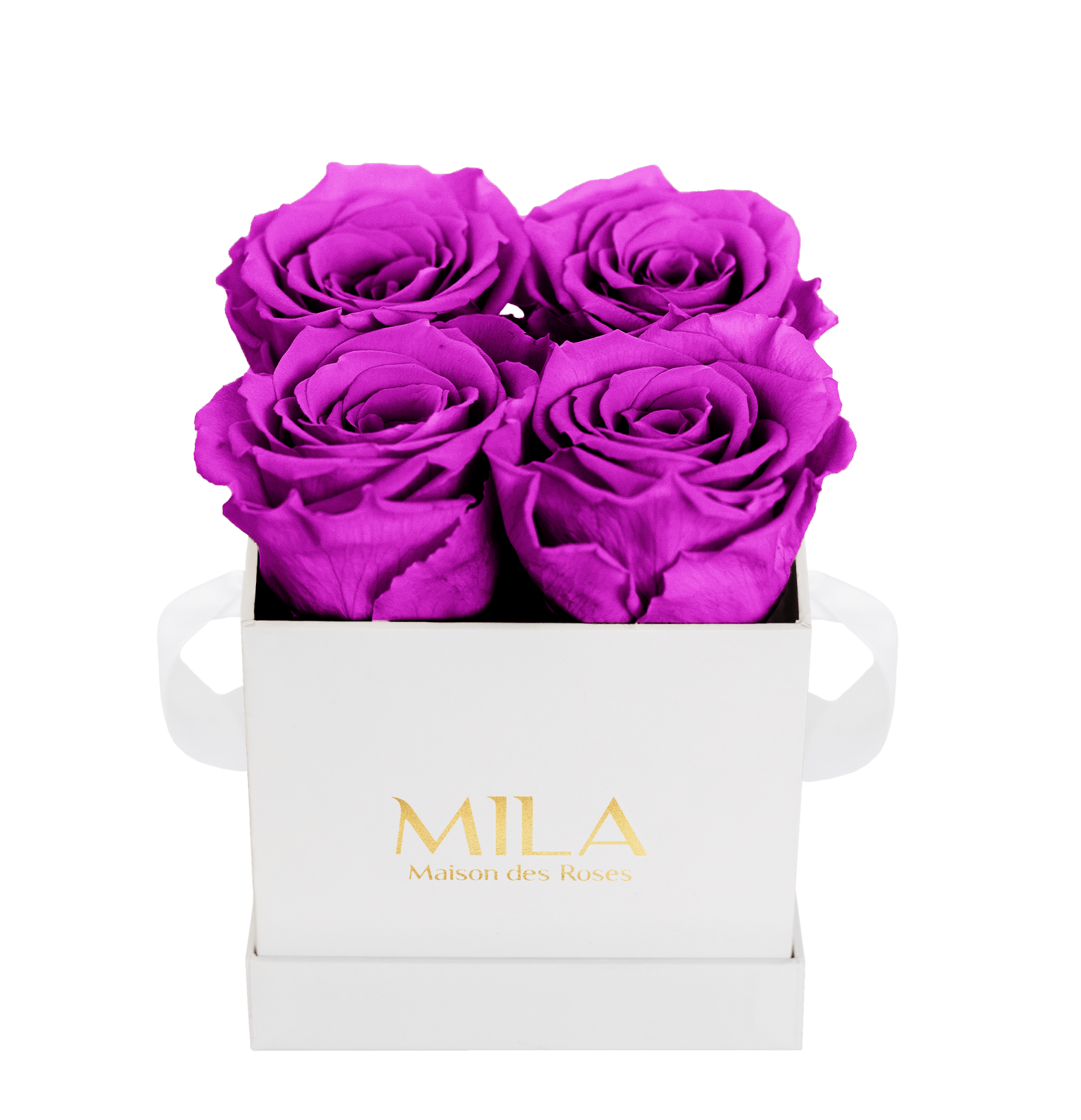 Mila Classique Mini - Mila Rose
