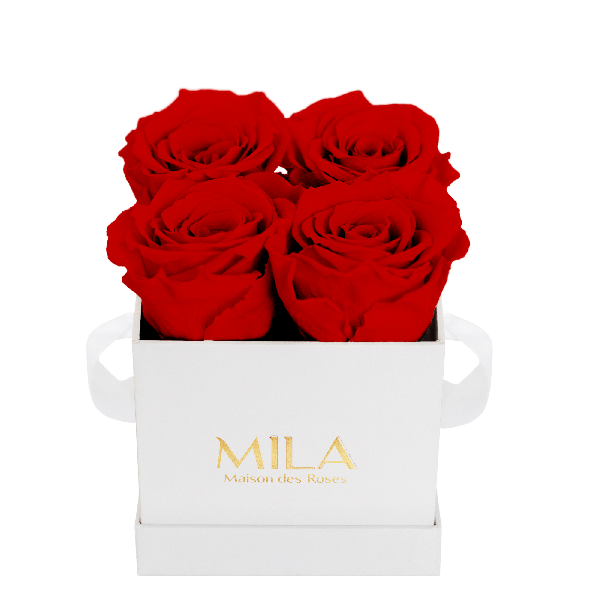 Mila Classique Mini - Mila Rose