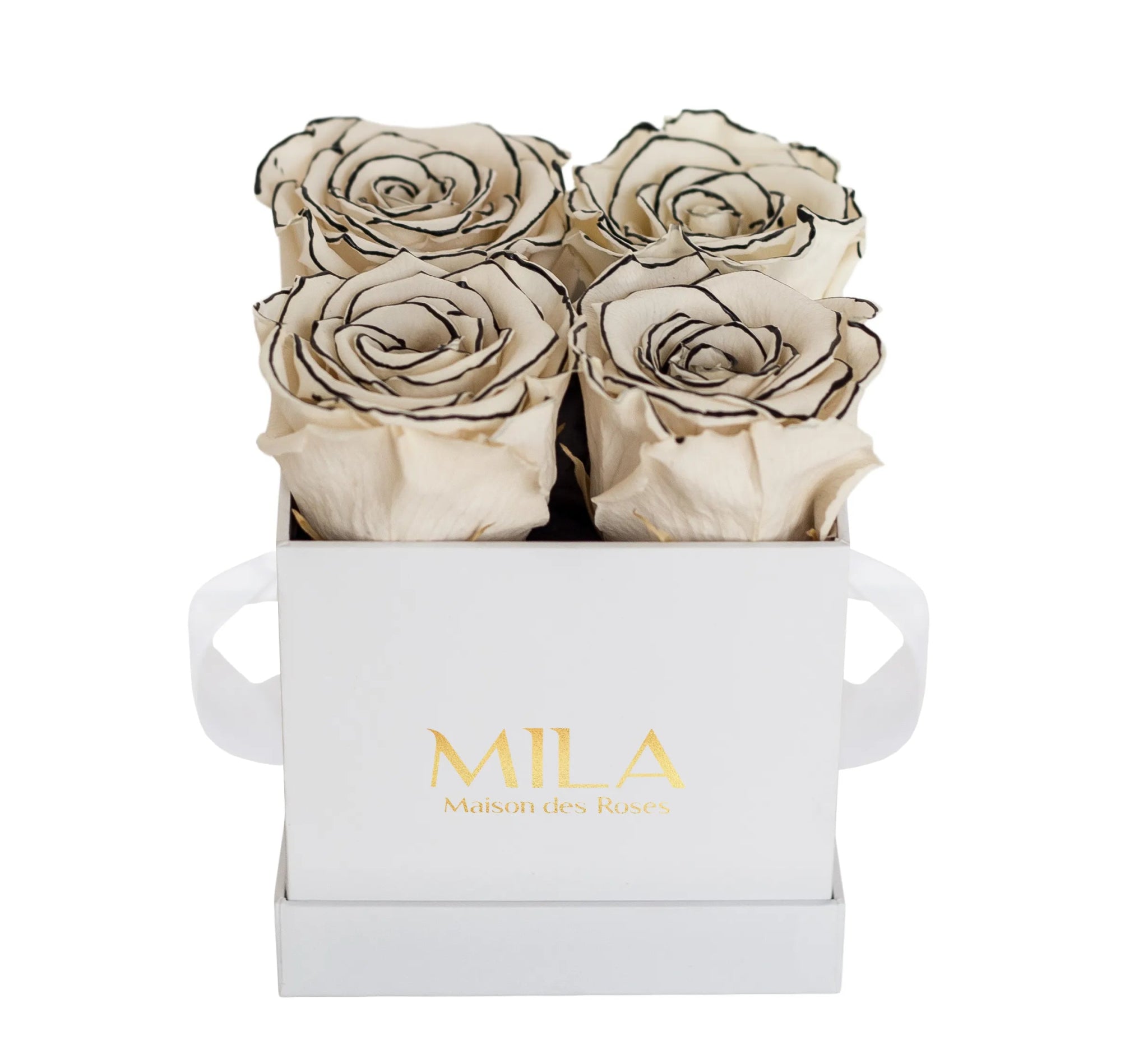 Mila Classique Mini - Mila Rose