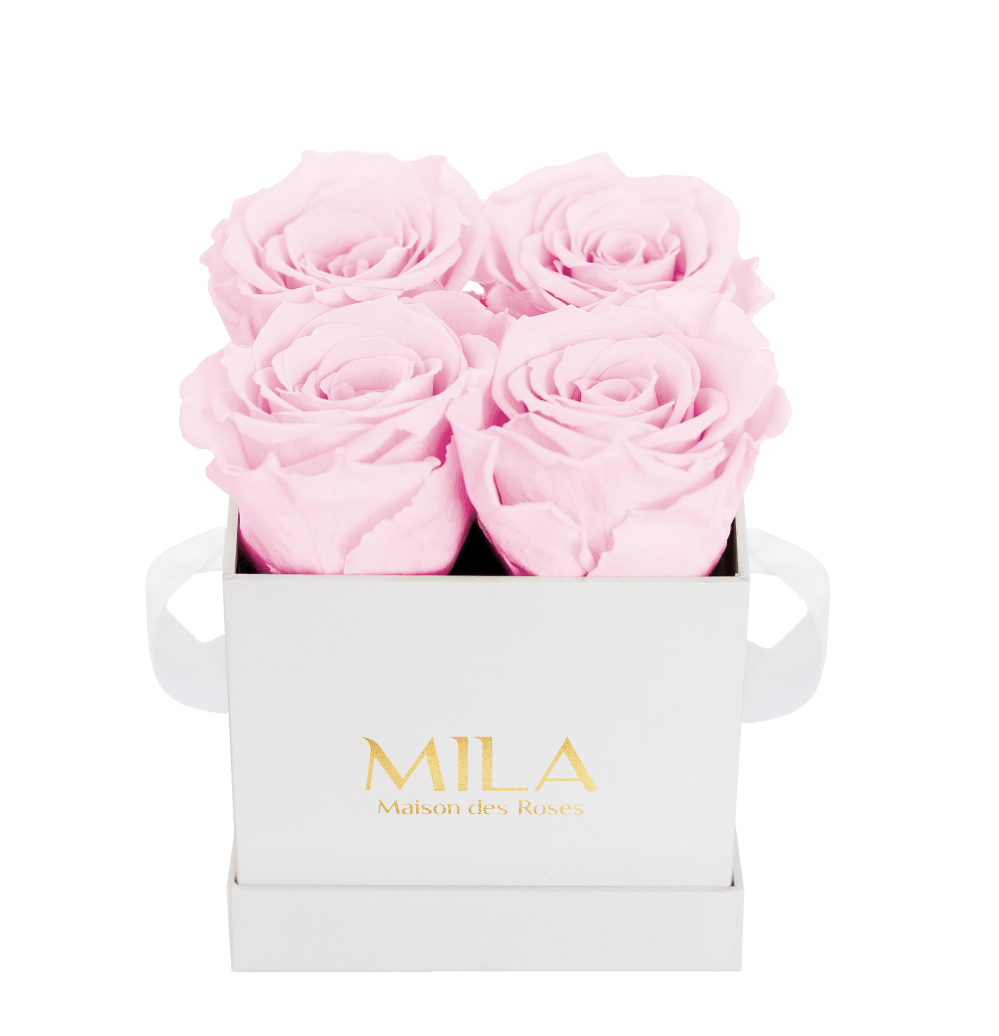 Mila Classique Mini - Mila Rose