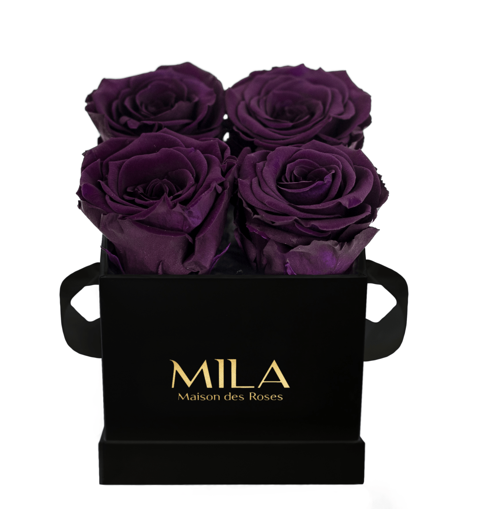 Mila Classique Mini - Mila Rose