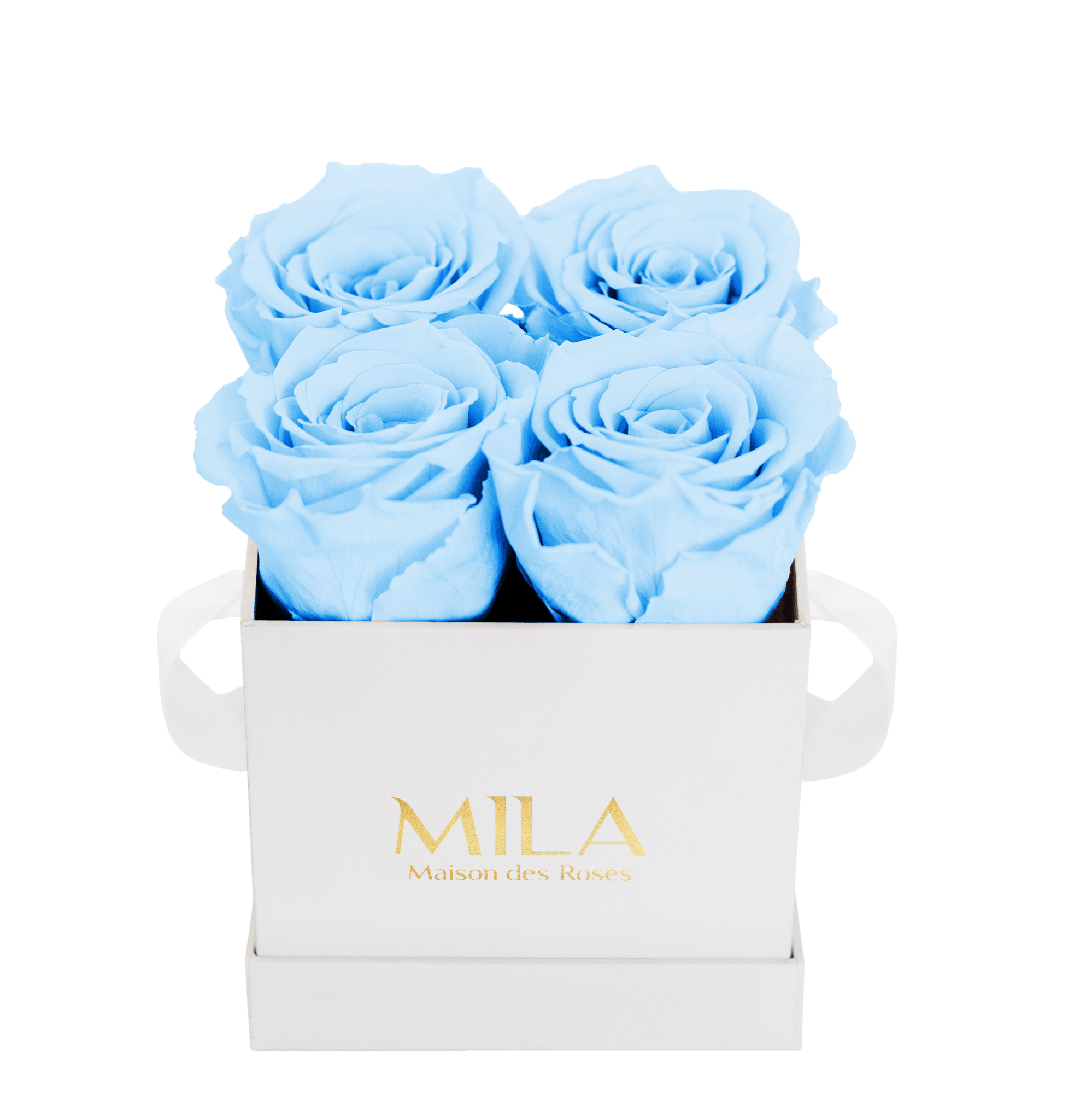 Mila Classique Mini - Mila Rose