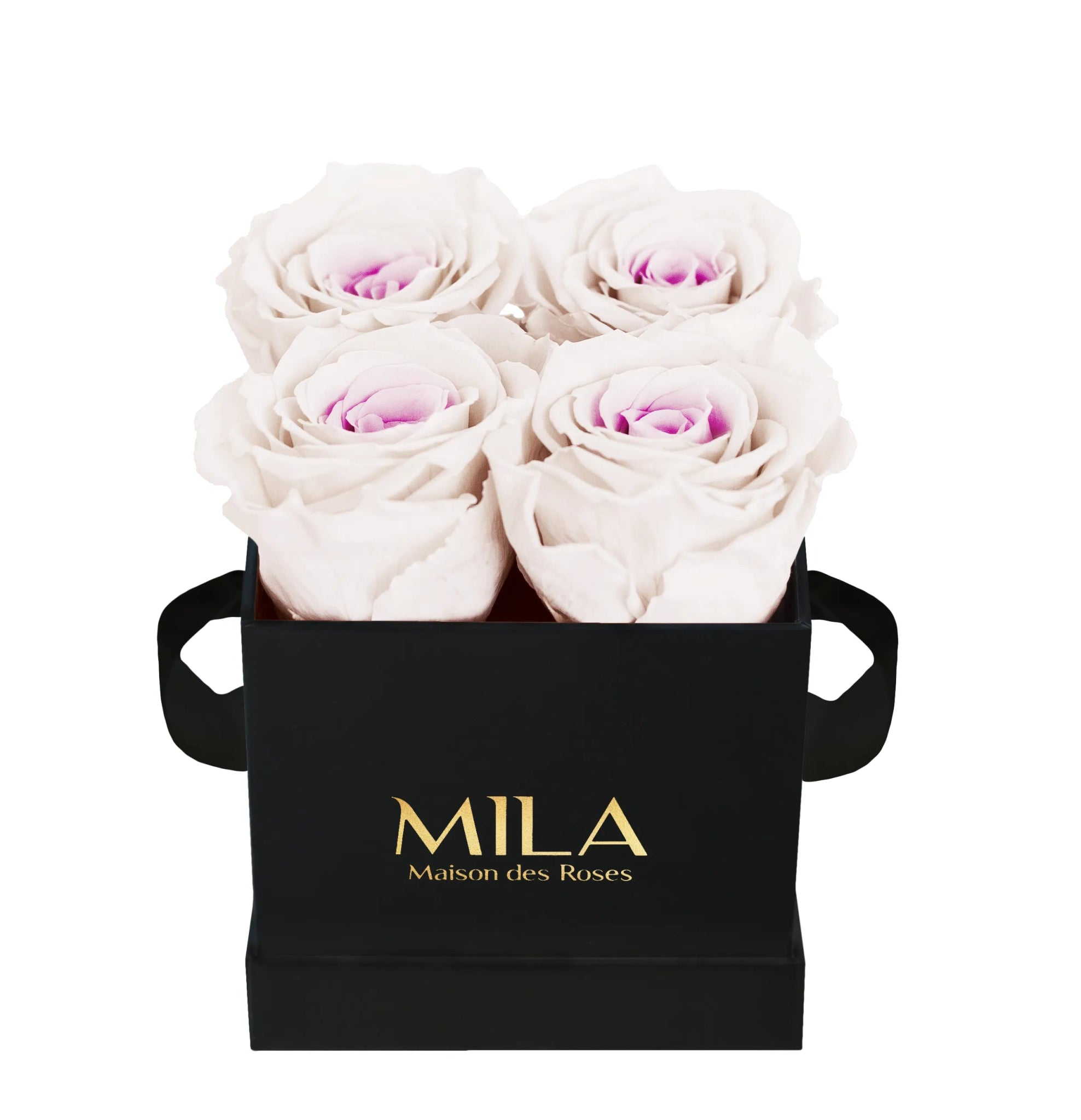 Mila Classique Mini - Mila Rose