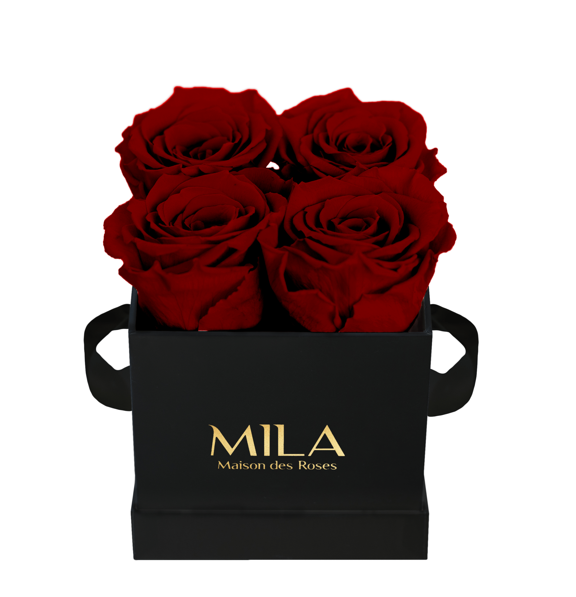 Mila Classique Mini - Mila Rose