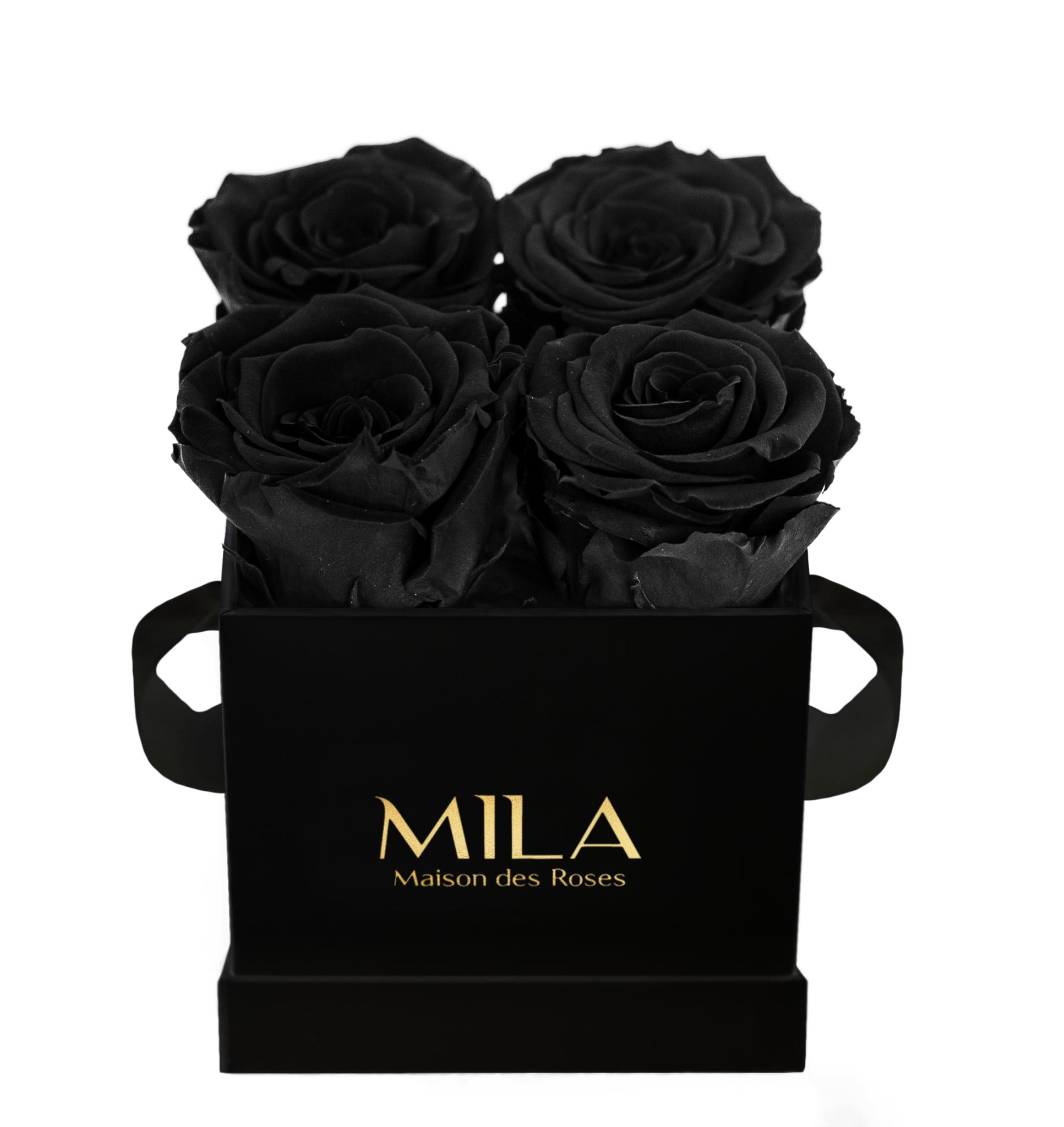 Mila Classique Mini - Mila Rose
