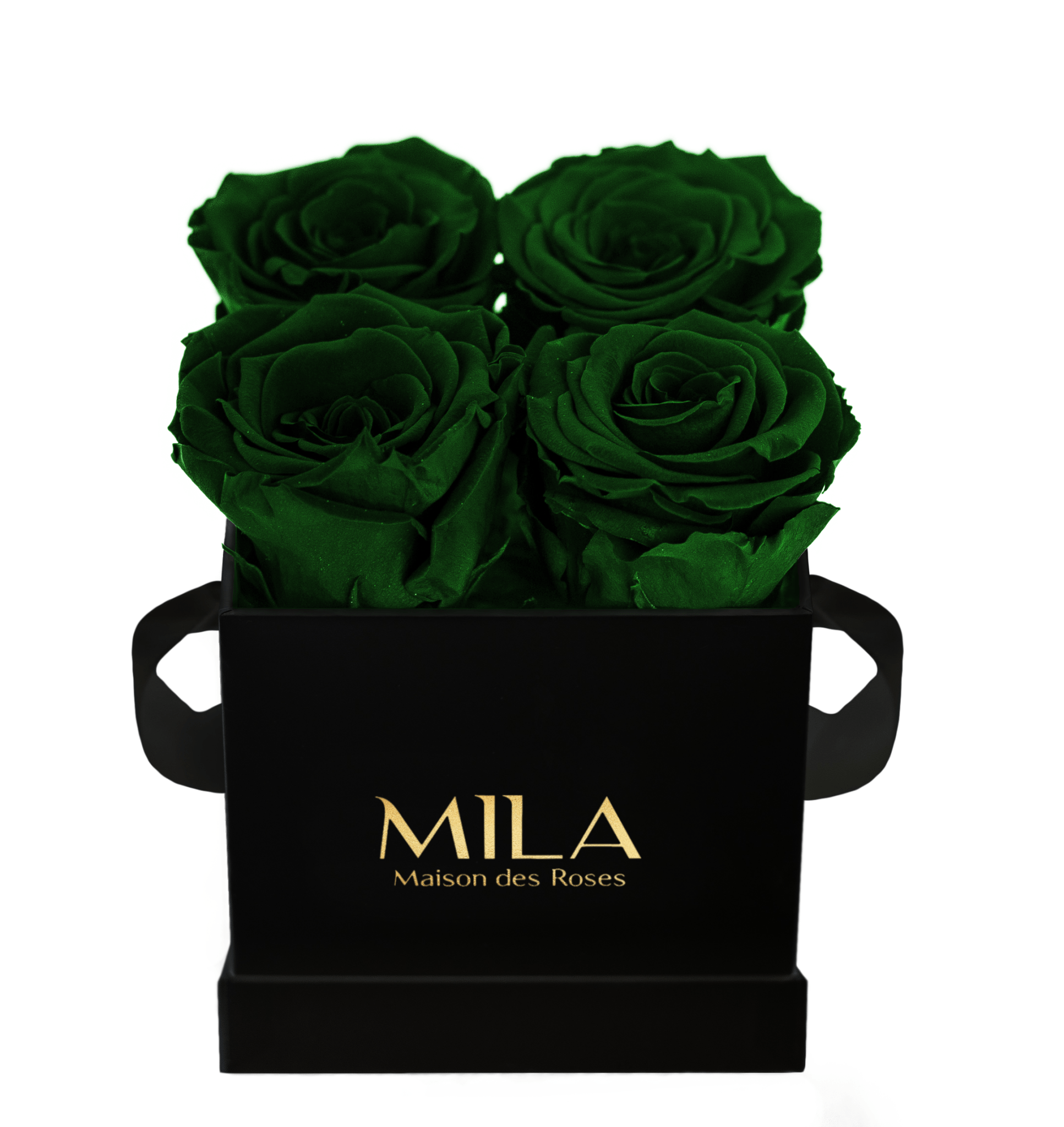 Mila Classique Mini - Mila Rose