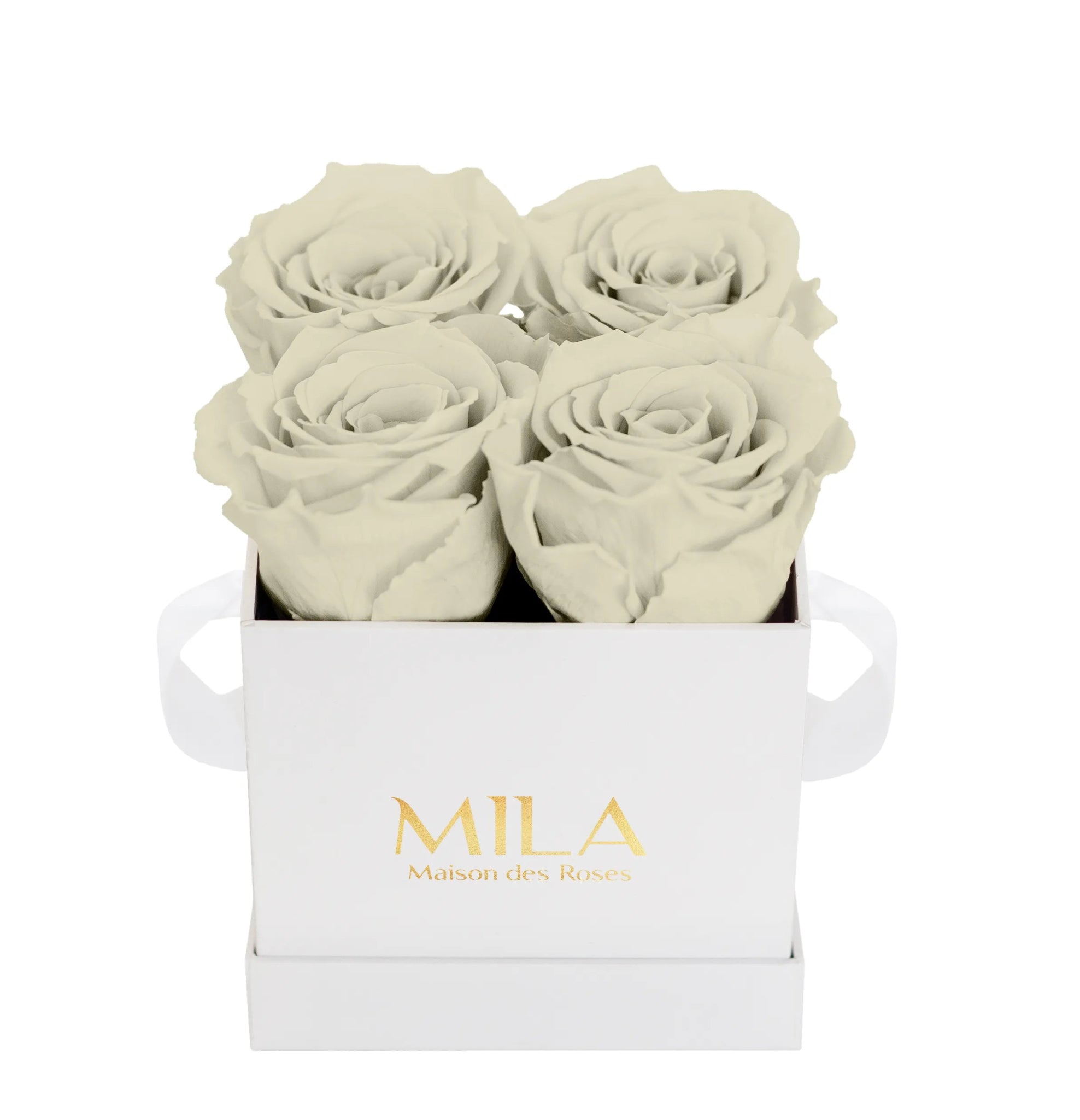 Mila Classique Mini - Mila Rose