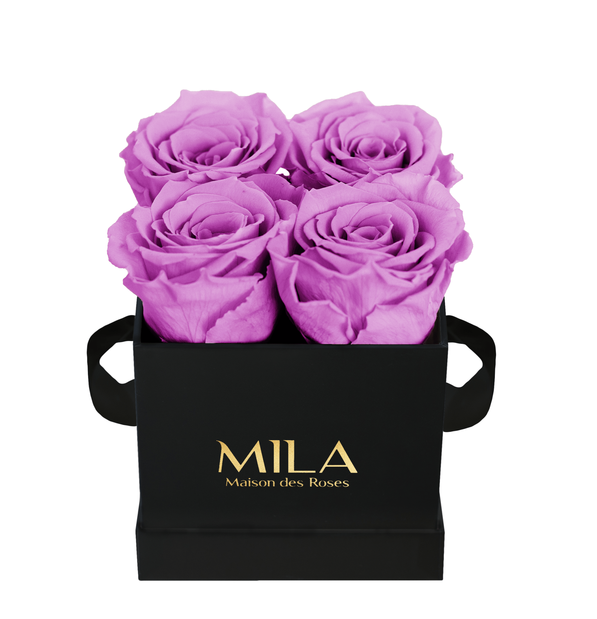 Mila Classique Mini - Mila Rose