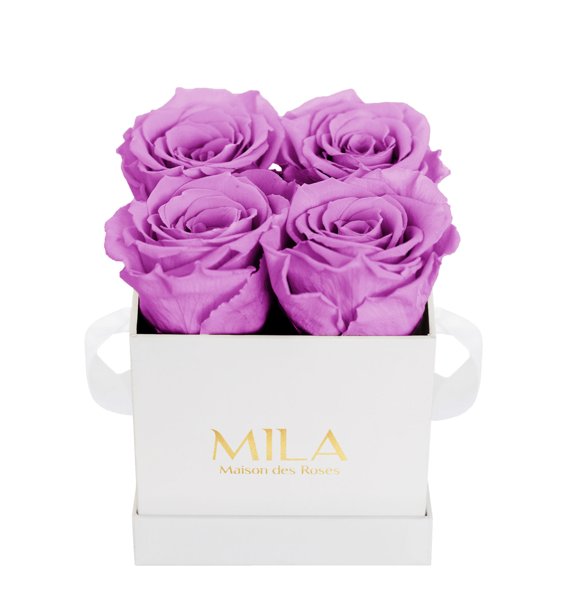 Mila Classique Mini - Mila Rose
