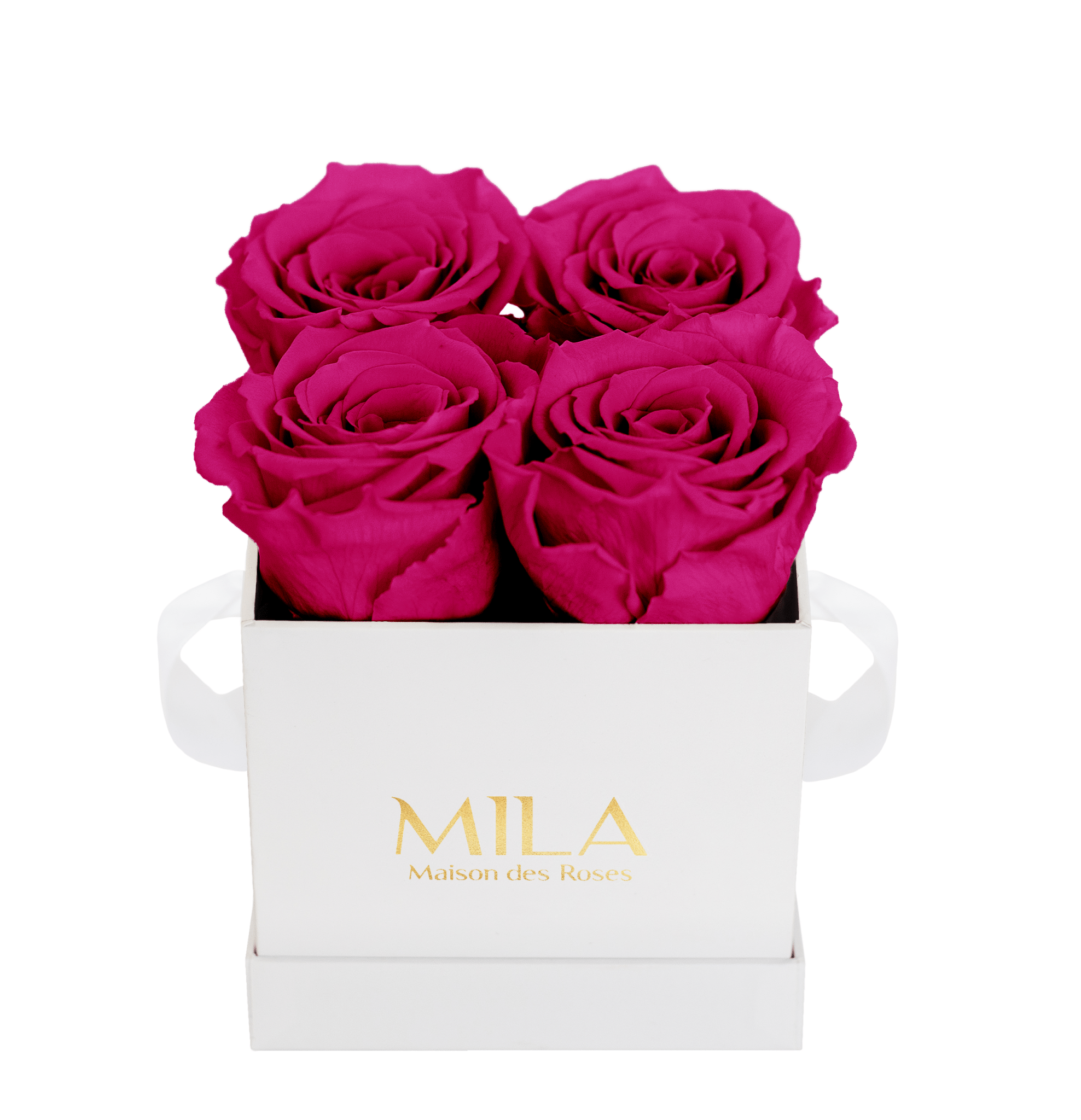 Mila Classique Mini - Mila Rose