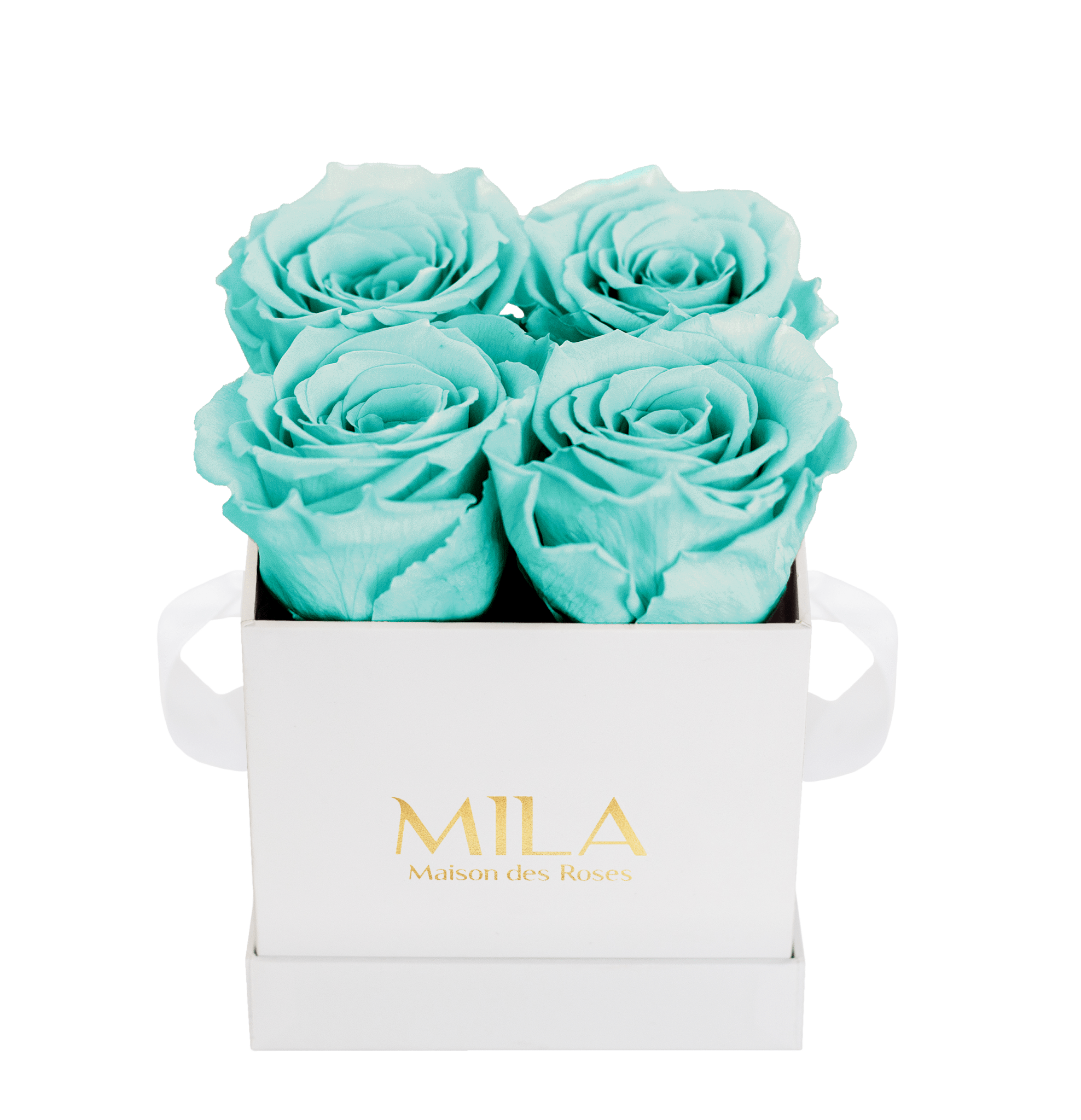 Mila Classique Mini - Mila Rose