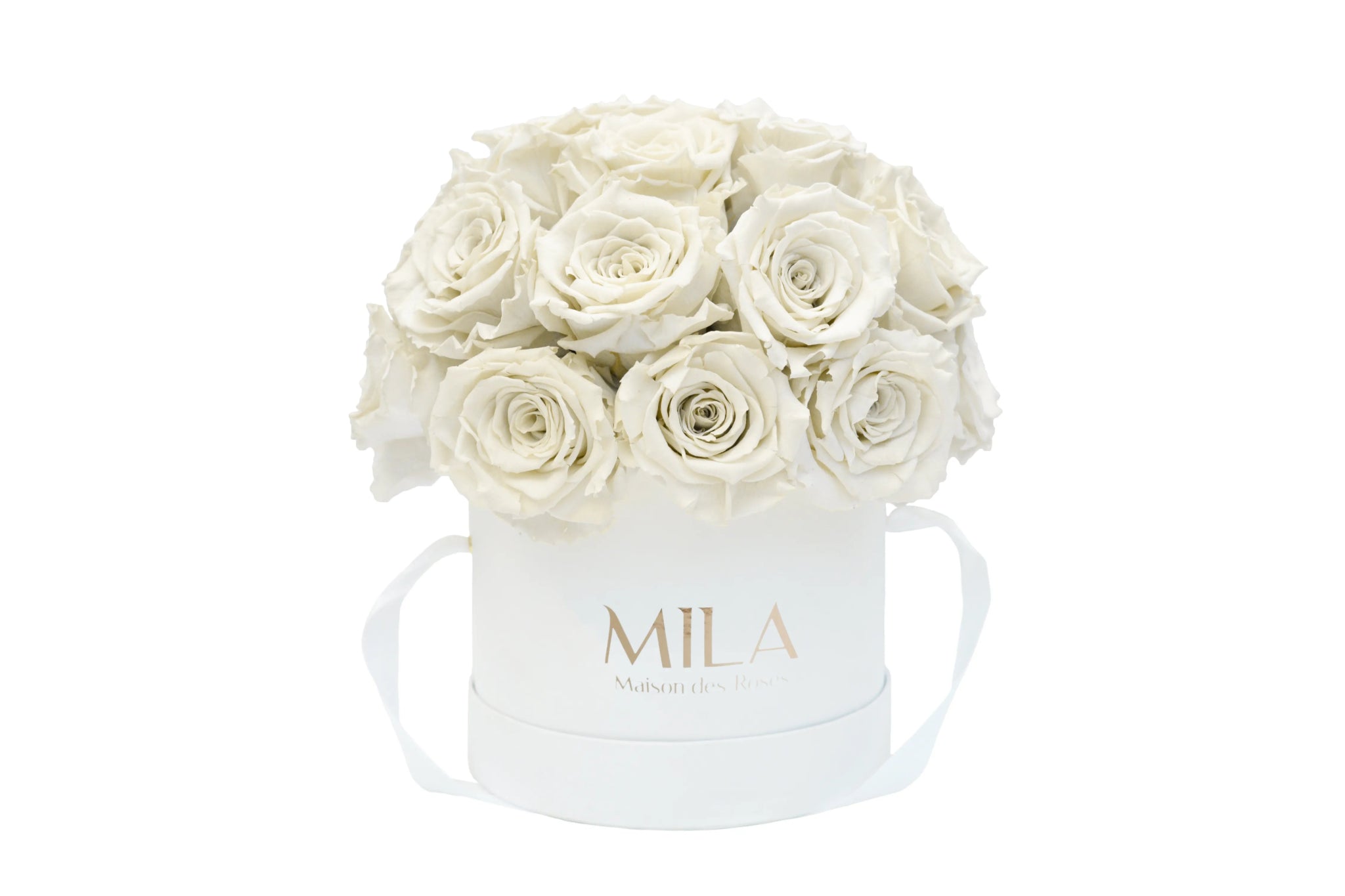 Mila Classique Small Dome - Mila Rose