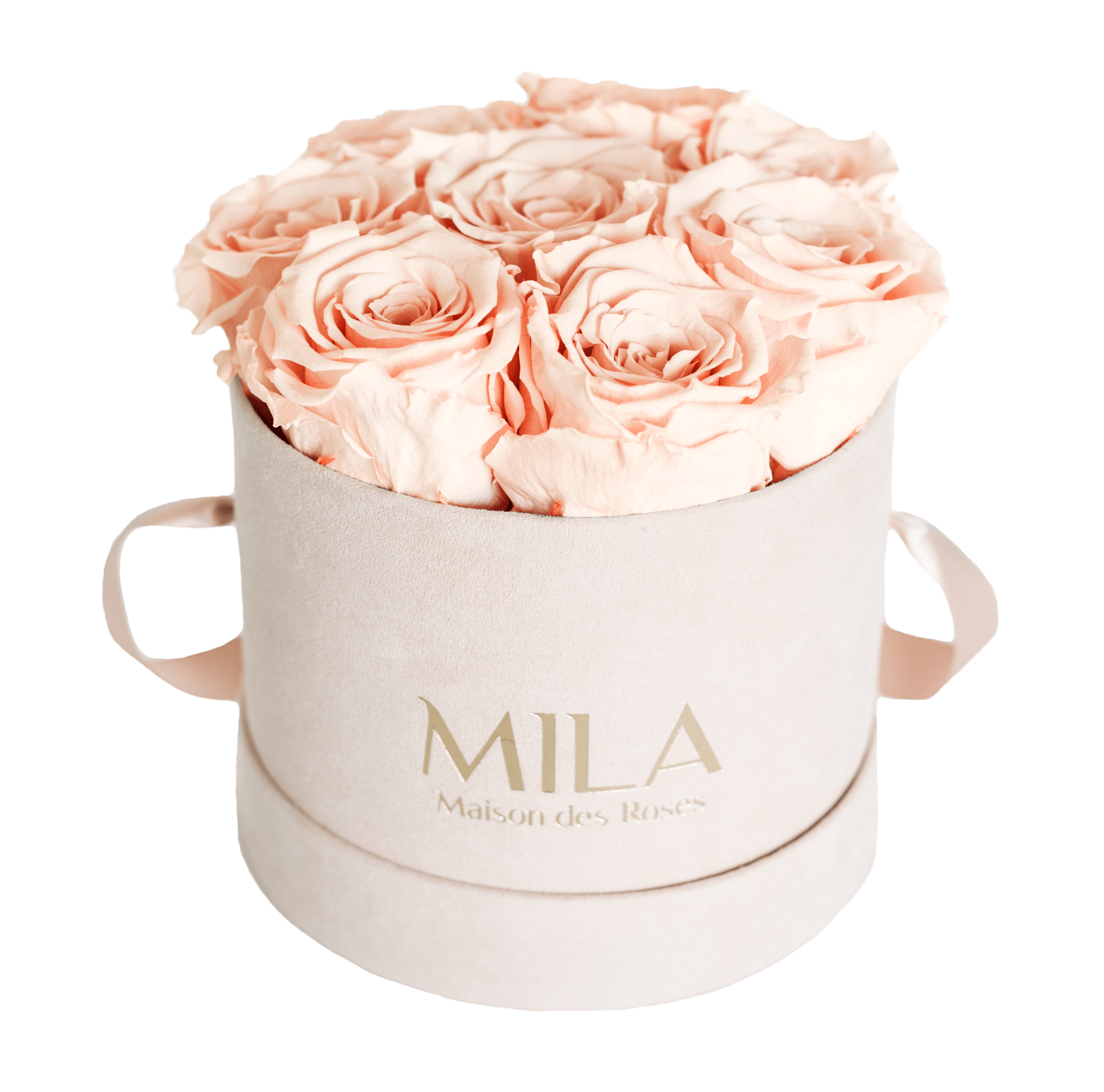 Mila Nude Velvet Small - Mila Rose