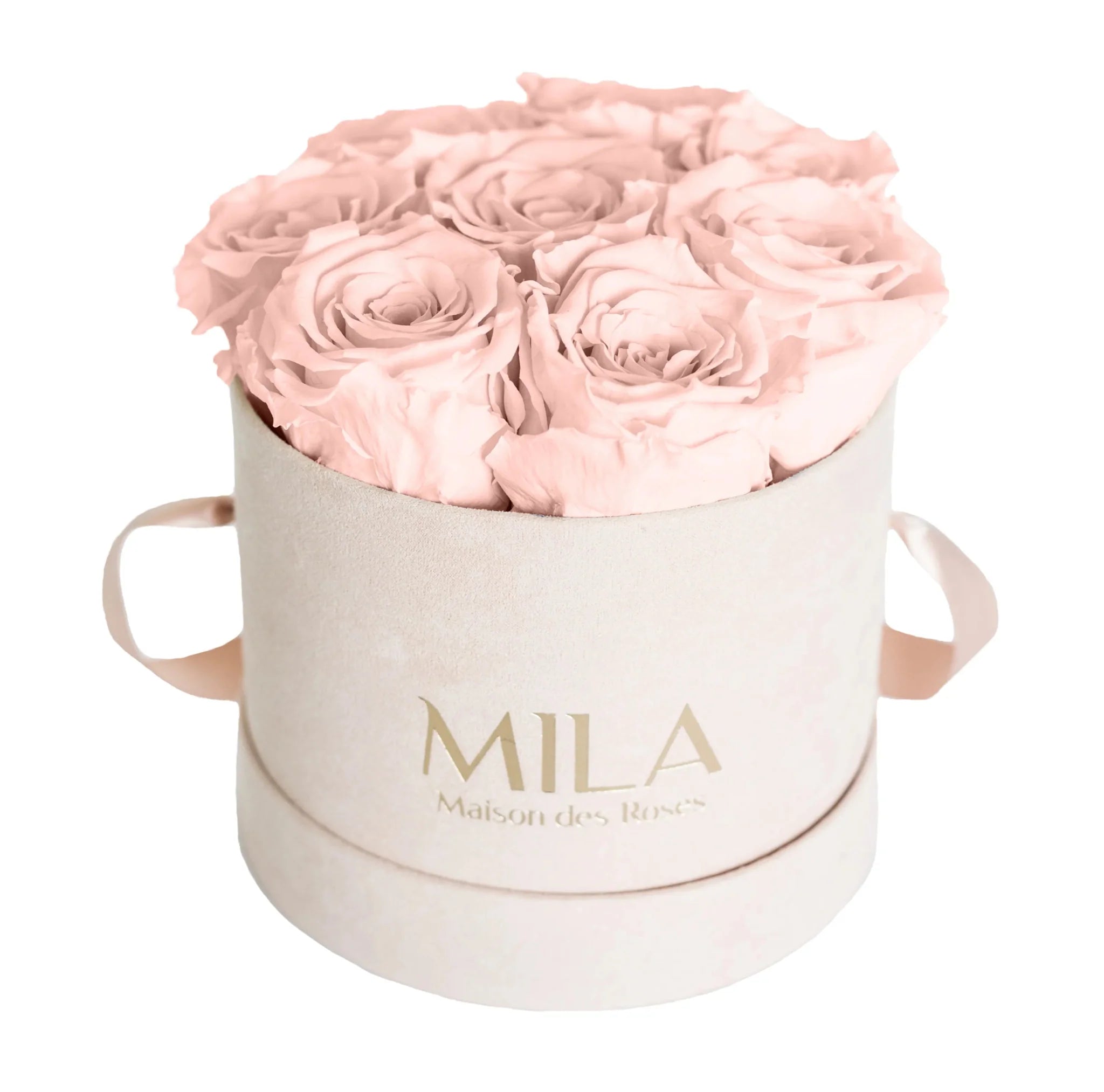 Mila Nude Velvet Small - Mila Rose