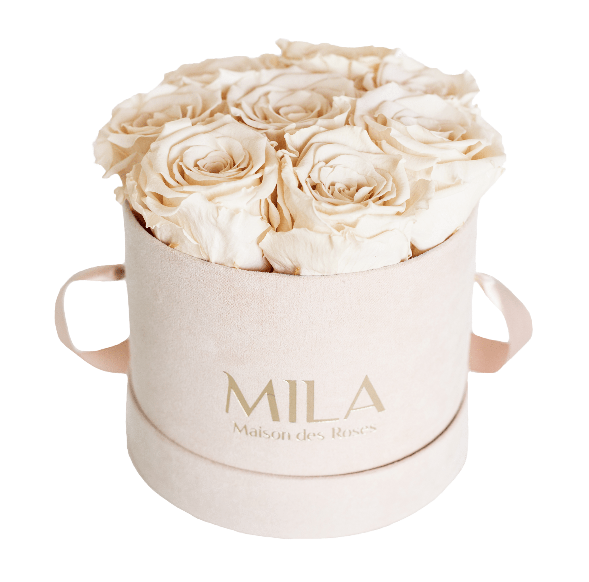 Mila Nude Velvet Small - Mila Rose
