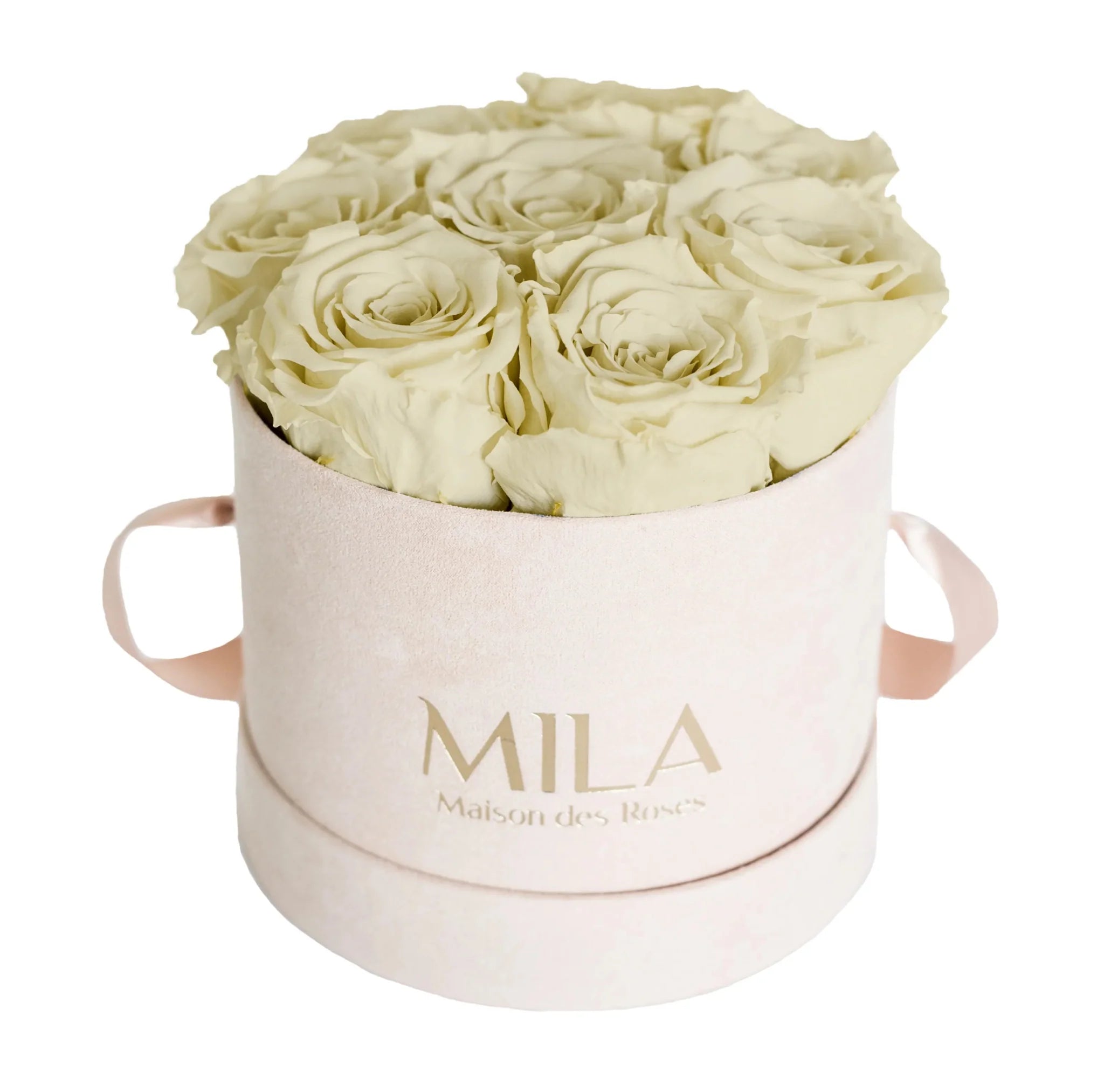 Mila Nude Velvet Small - Mila Rose