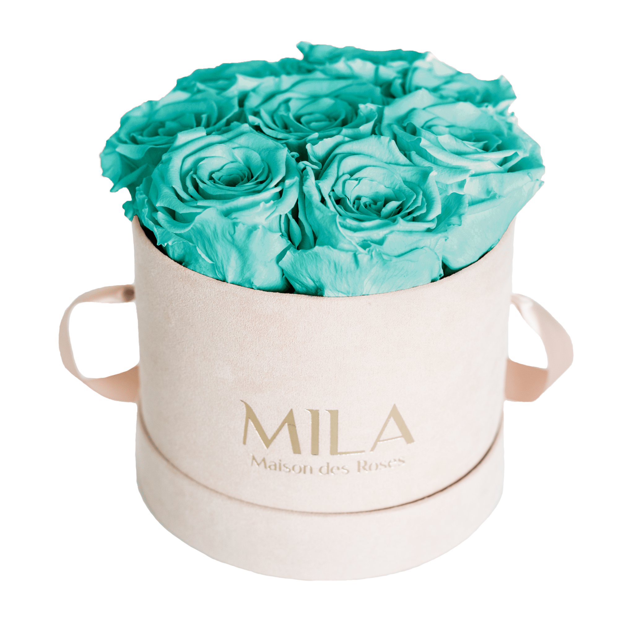 Mila Nude Velvet Small - Mila Rose