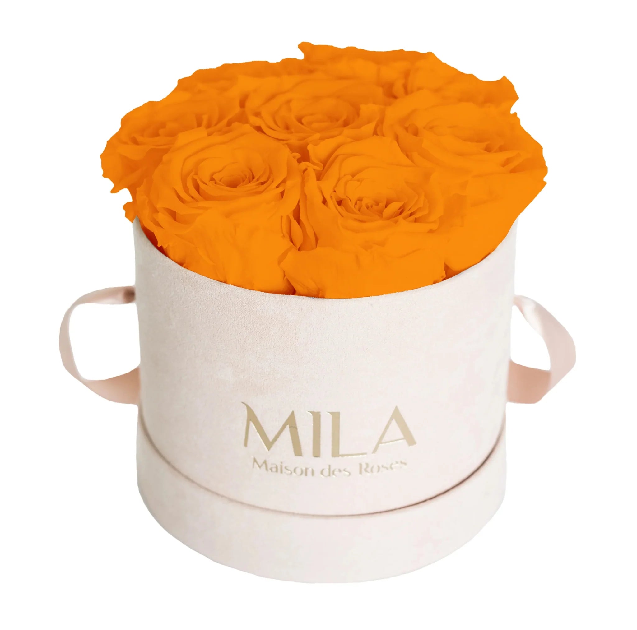 Mila Nude Velvet Small - Mila Rose
